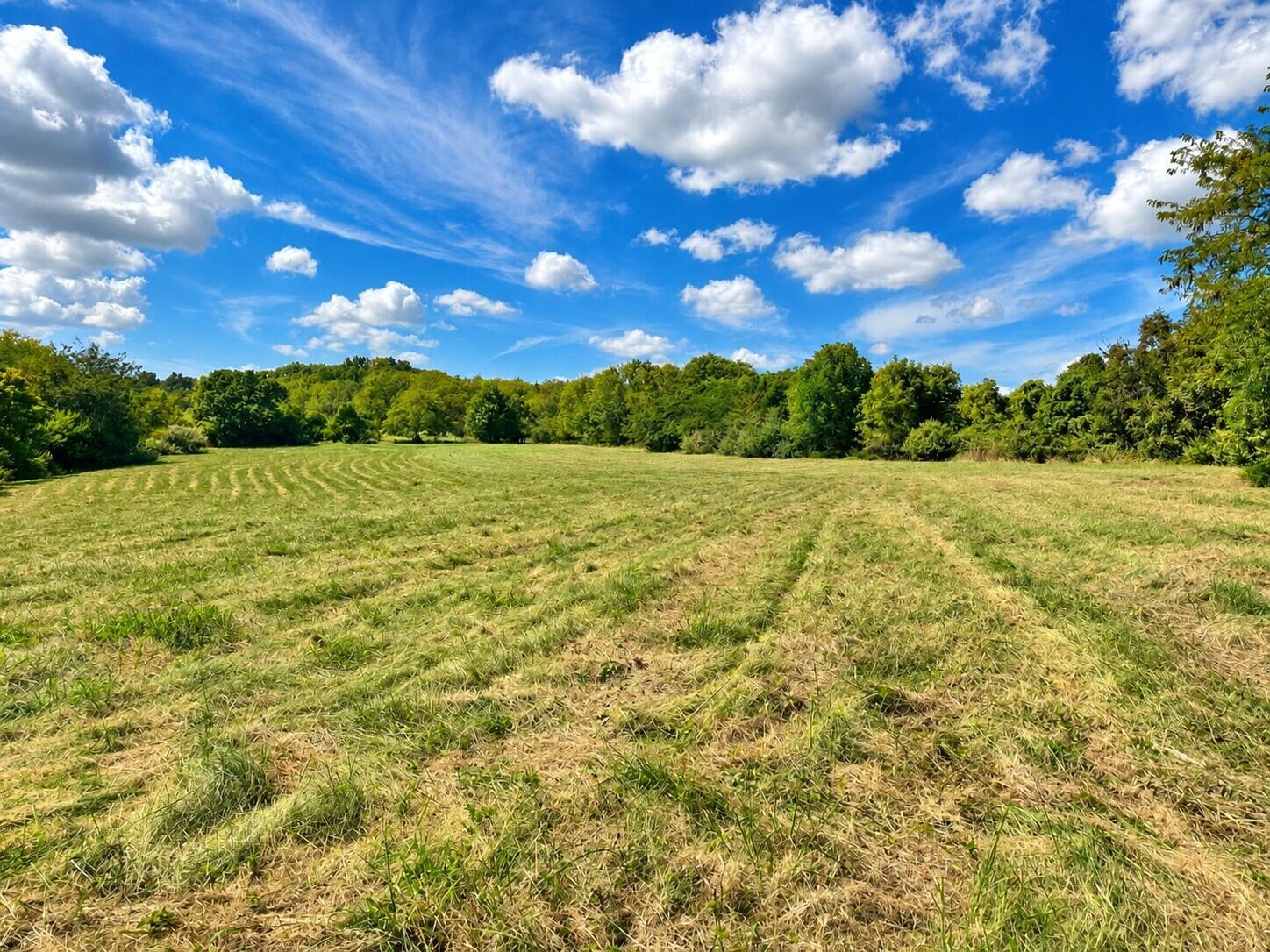 3735 State Road Aa Property Photo 28