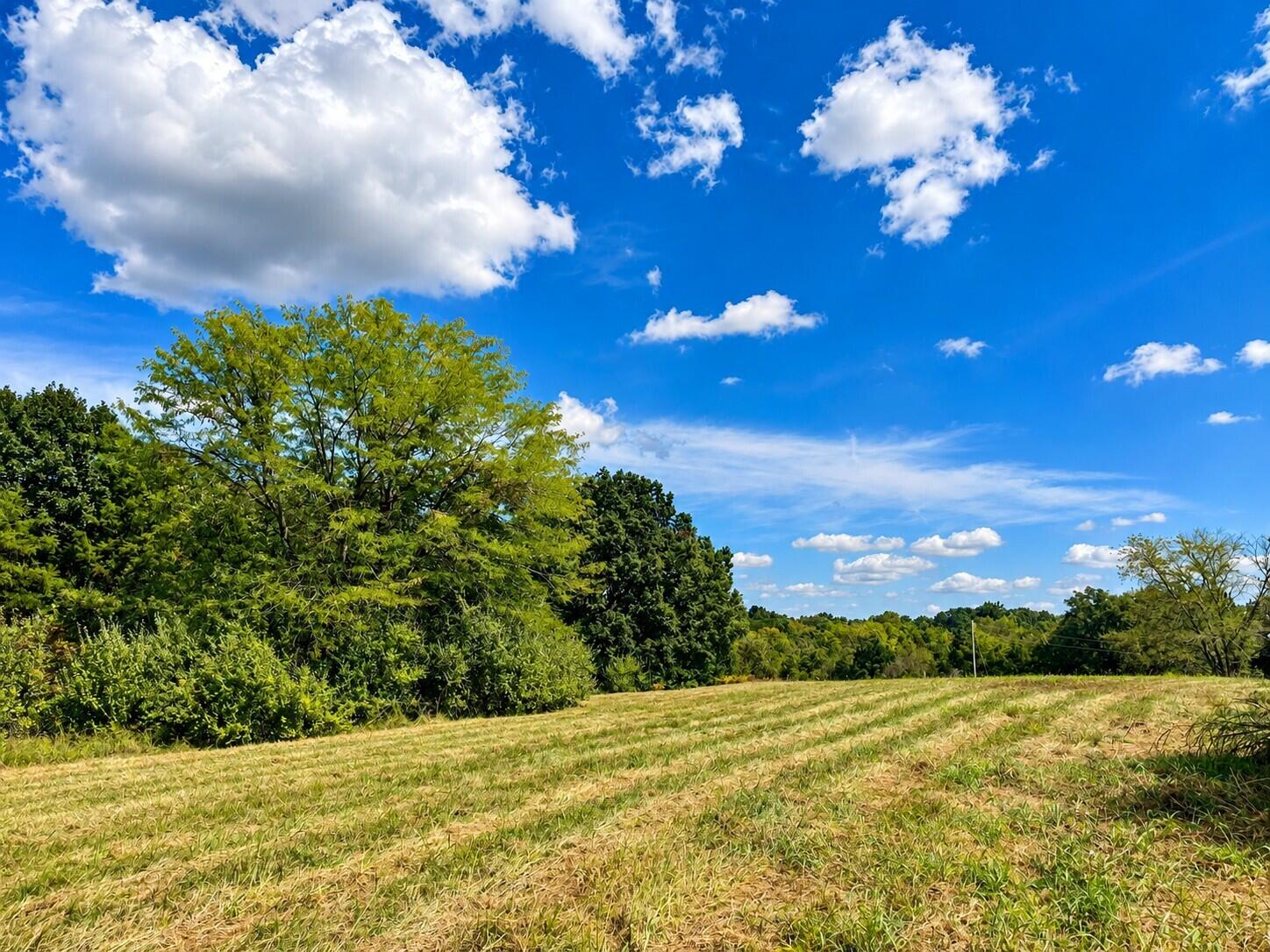 3735 State Road Aa Property Photo 29