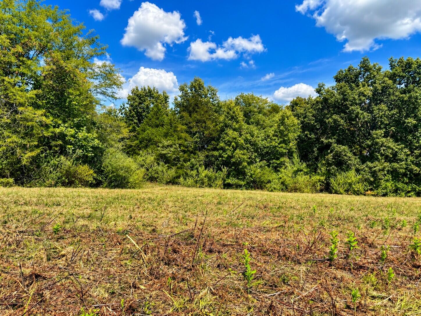 3735 State Road Aa Property Photo 30
