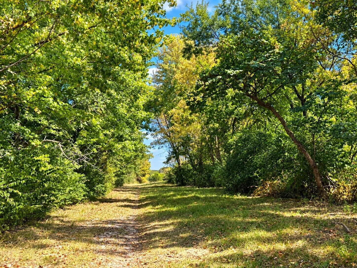 3735 State Road Aa Property Photo 42