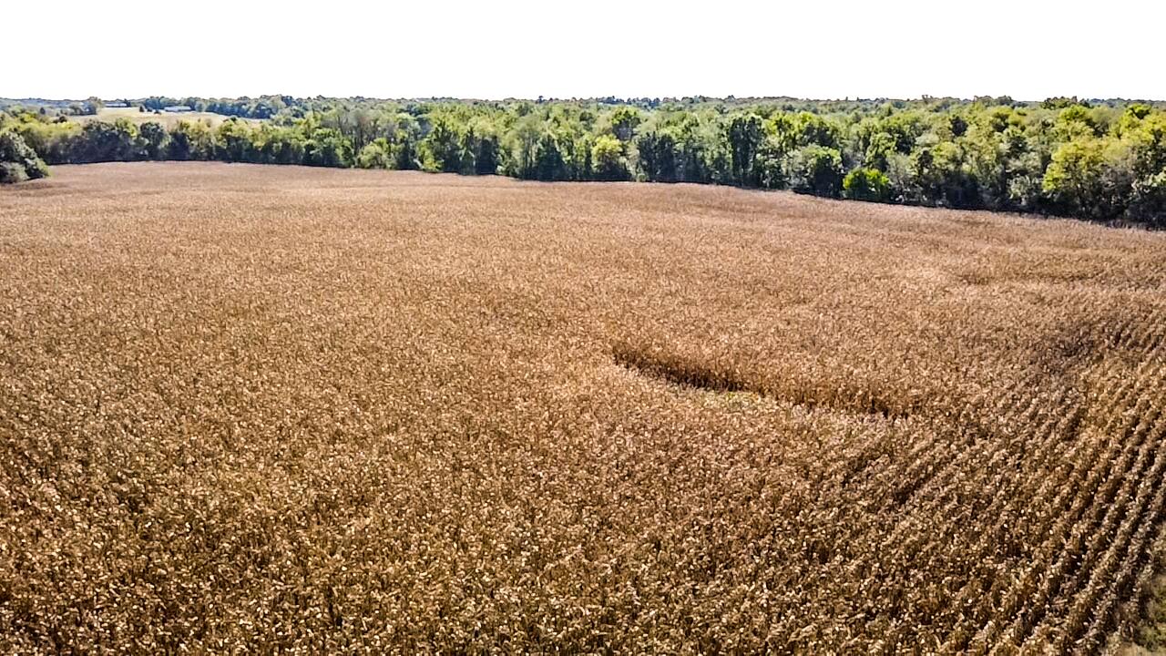 Highway D Property Photo 4