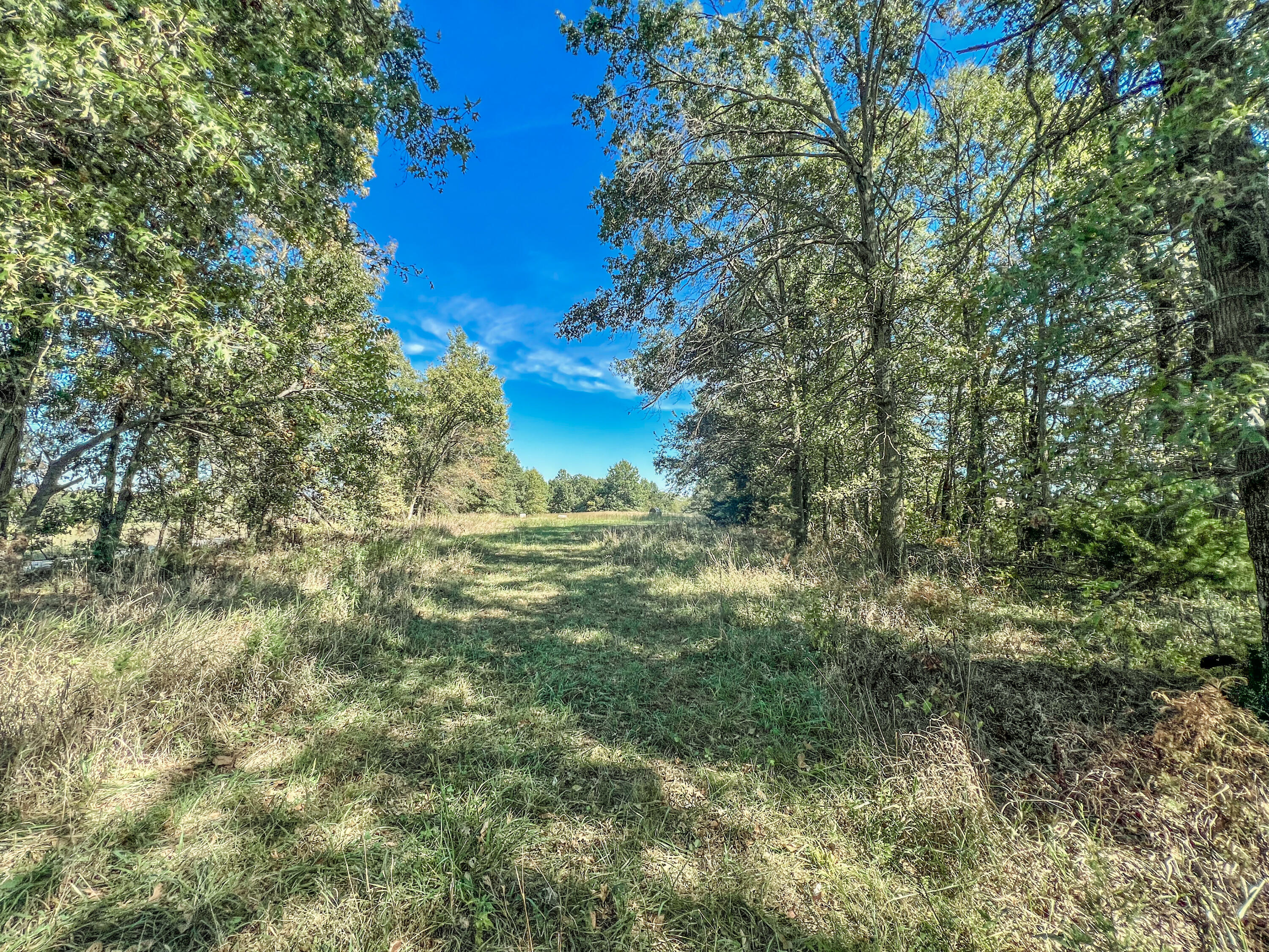 7+/-acres Monroe Road 956 Property Photo 1