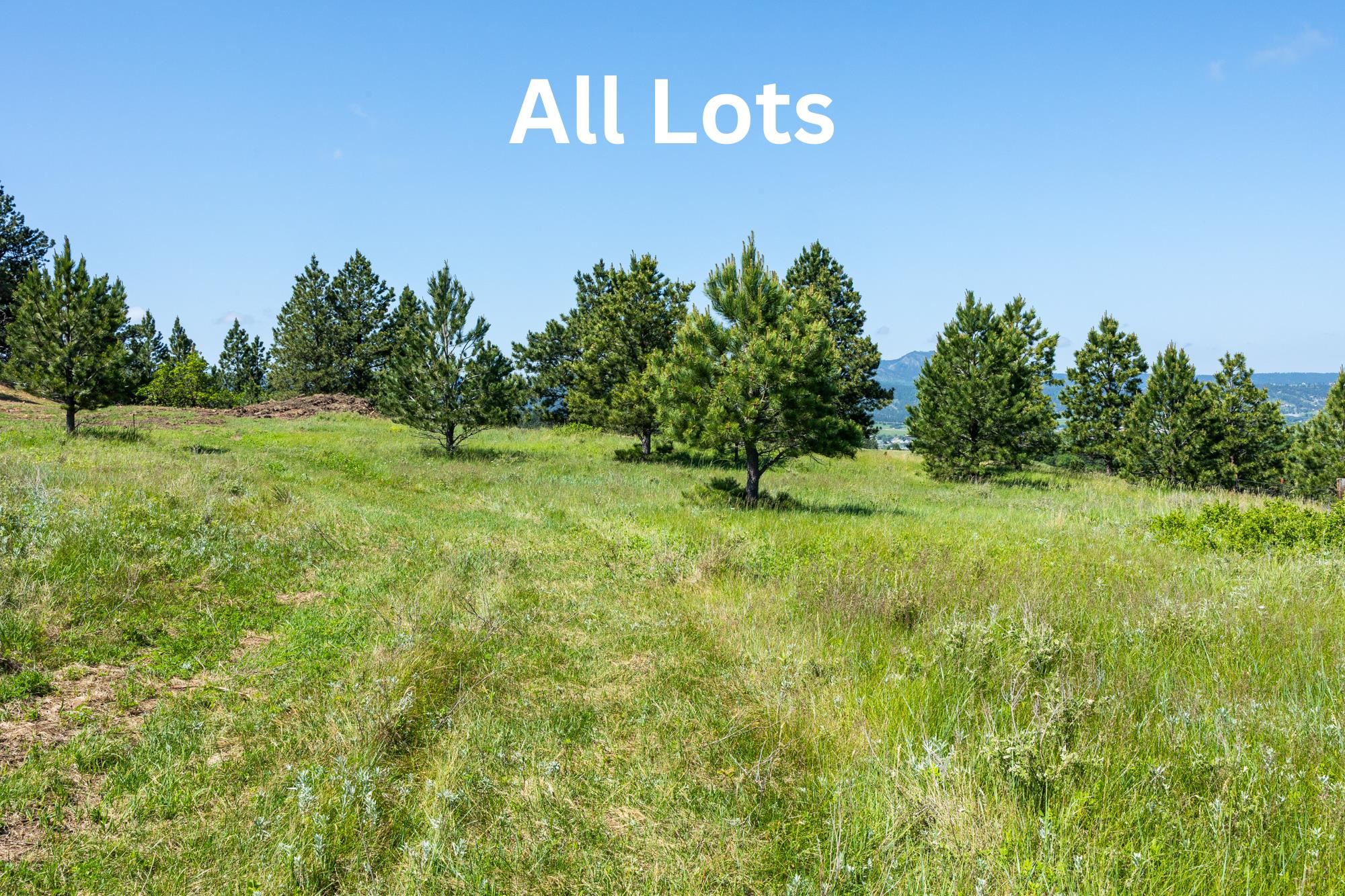 Tract 7c Lookout Vista Road Property Photo 5