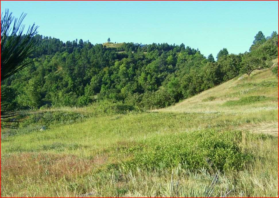 Tract 7c Lookout Vista Road Property Photo 22