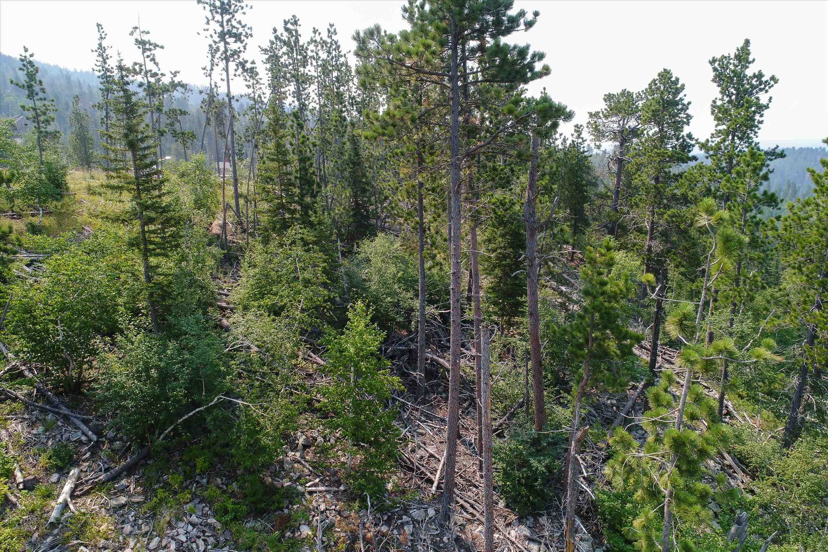 Lot 15 Block 10 Gold Pan Trail Property Photo 7