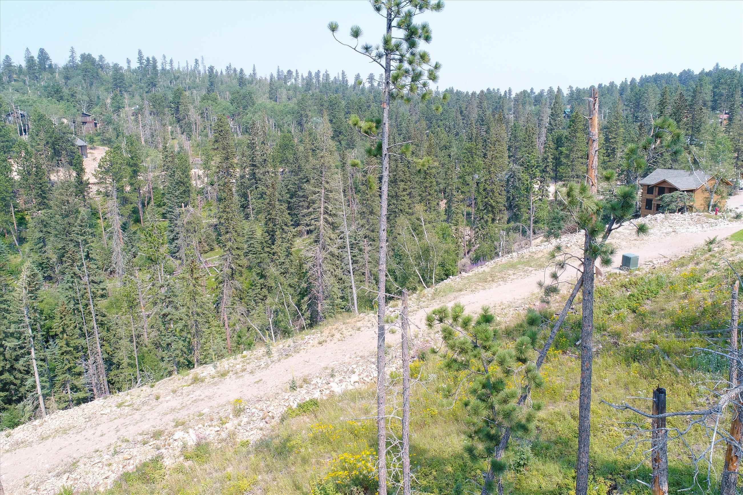 Lot 15 Block 10 Gold Pan Trail Property Photo 8