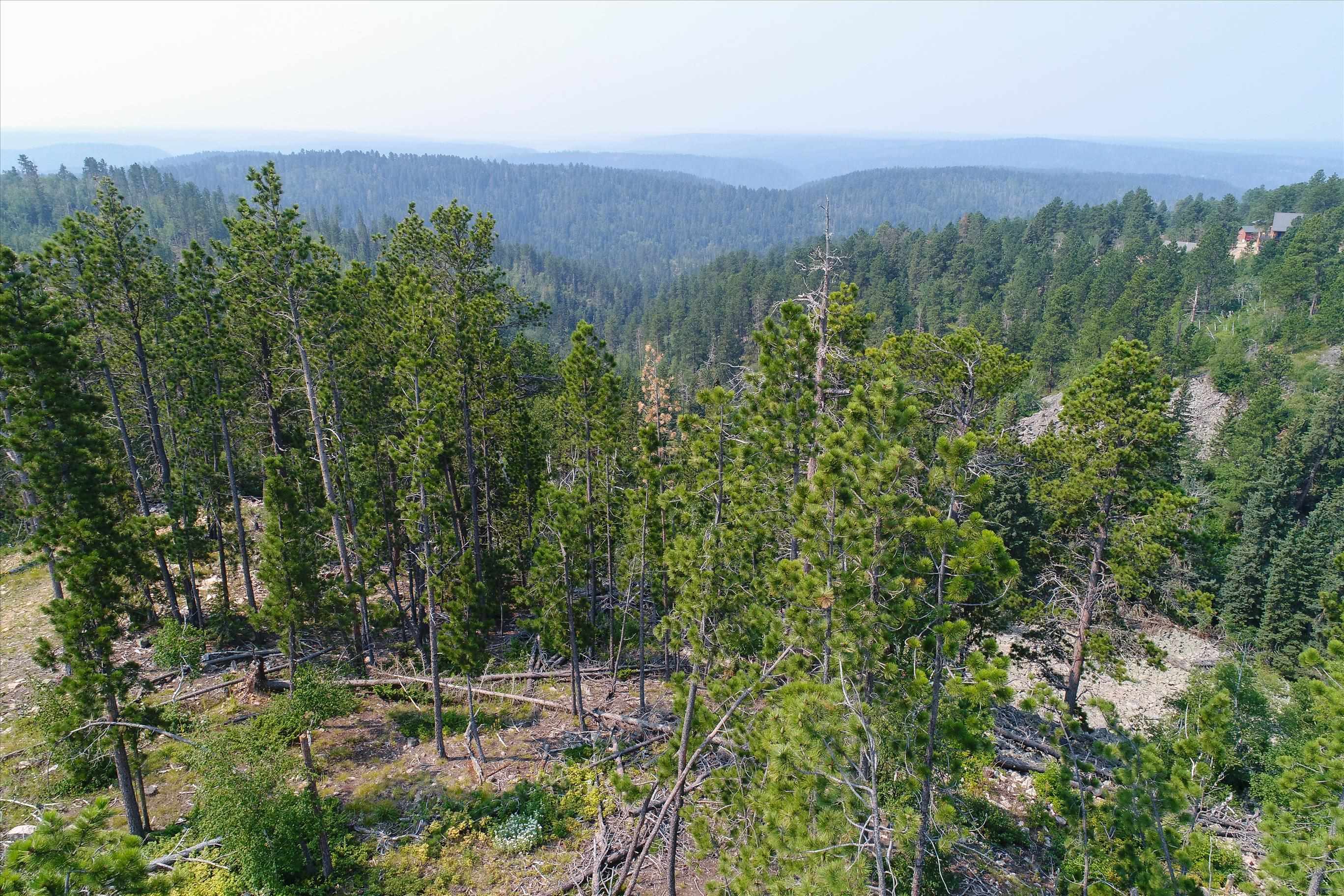 Lot 15 Block 10 Gold Pan Trail Property Photo 9