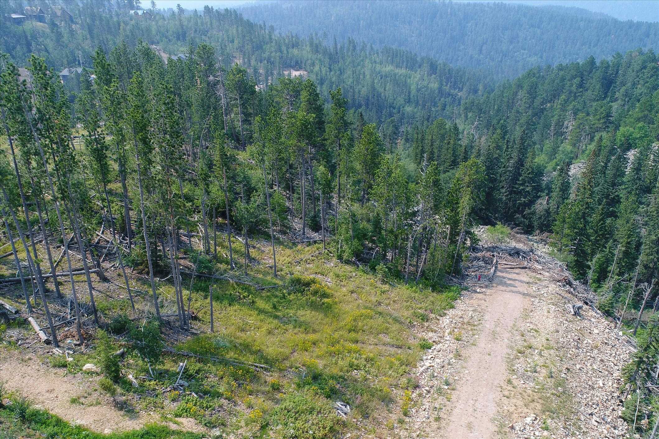 Lot 15 Block 10 Gold Pan Trail Property Photo 12