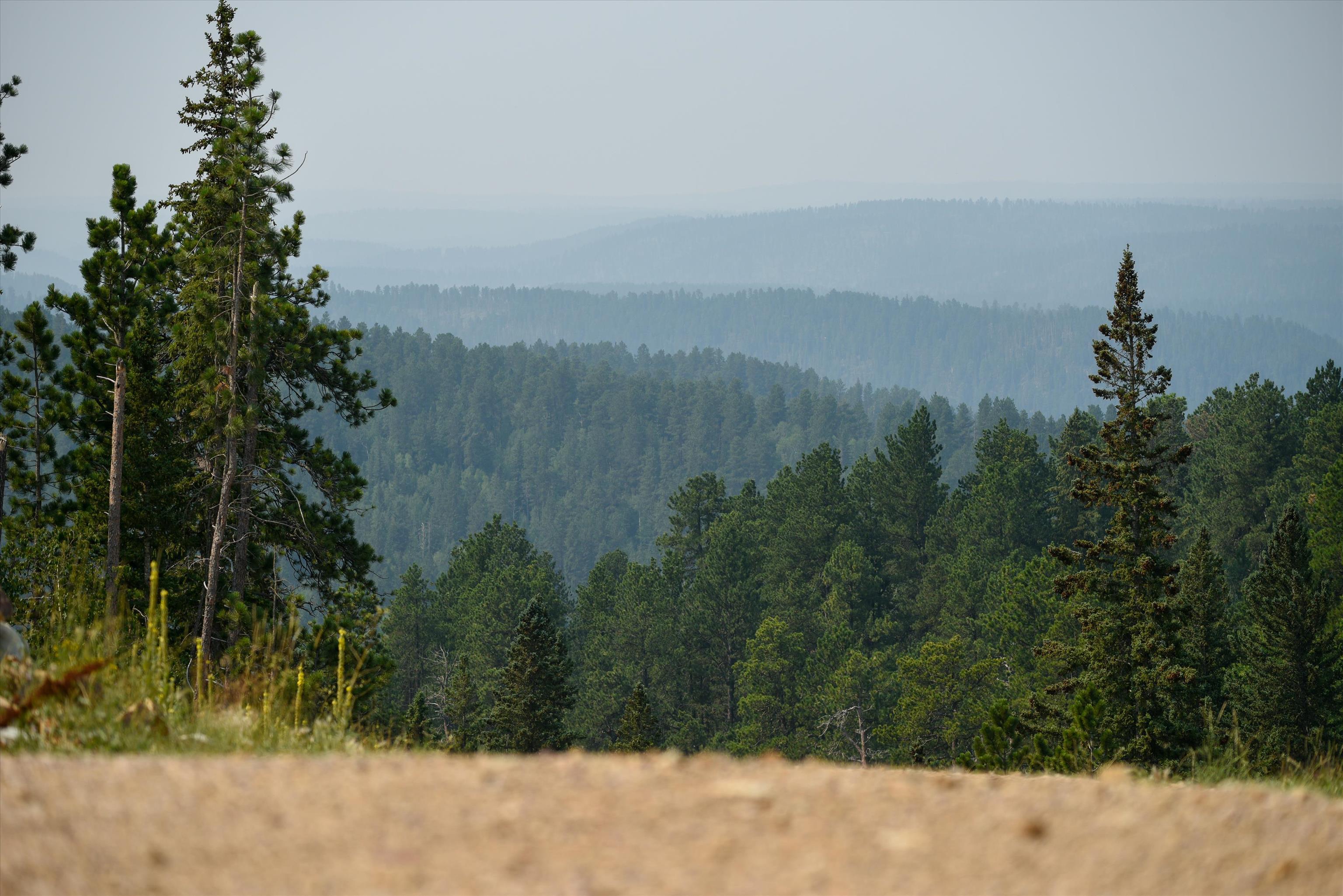 Lot 14 Block 10 Gold Pan Trail Property Photo 1