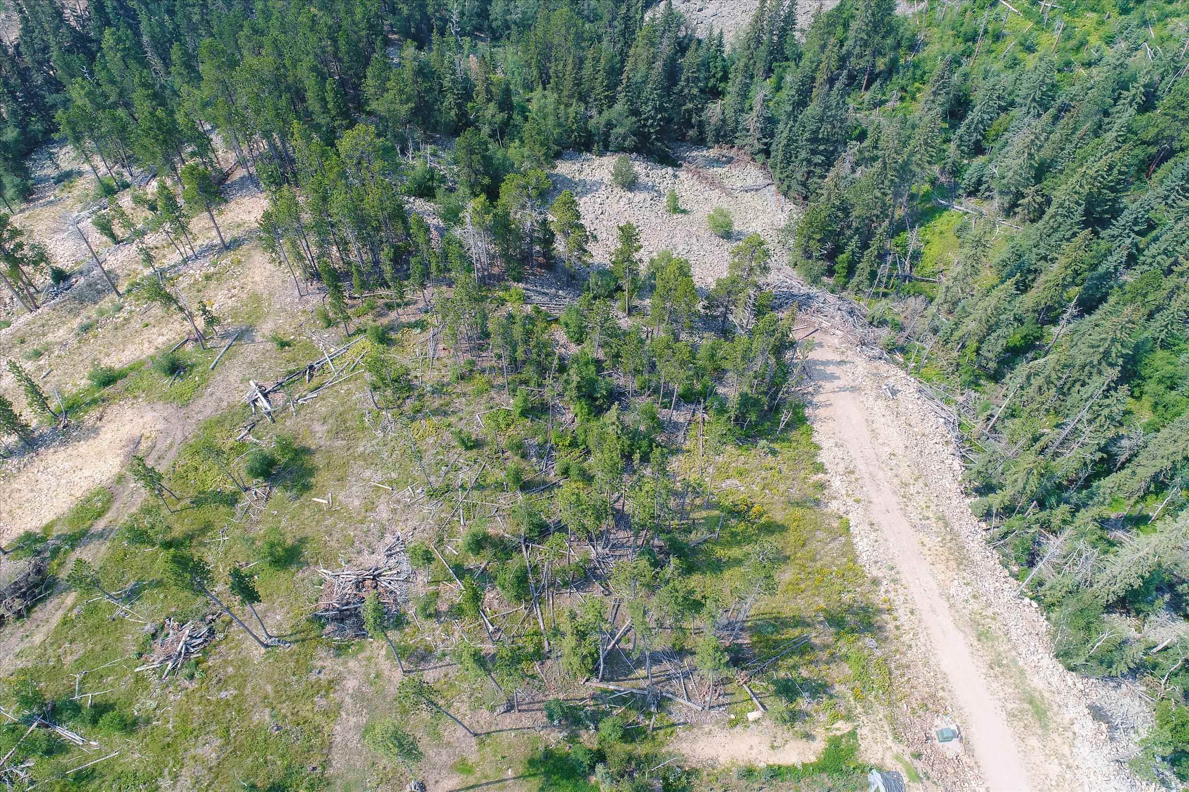 Lot 12 & 13 Gold Pan Trail Property Photo 3
