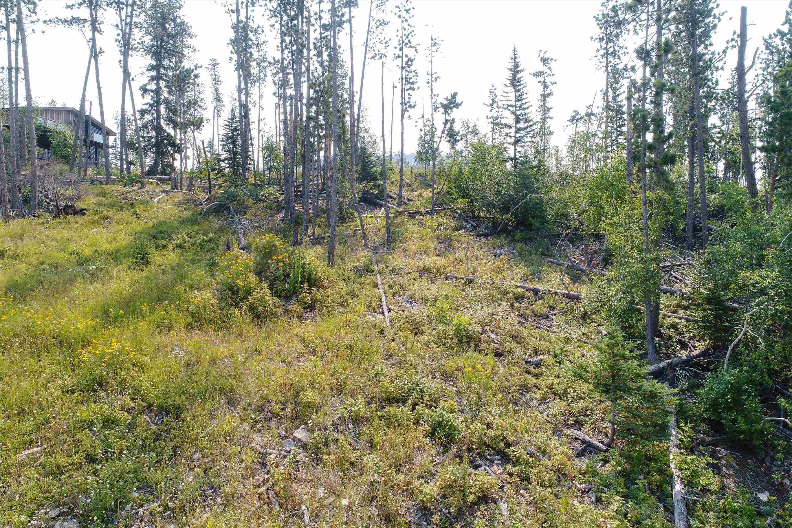 Lot 12 & 13 Gold Pan Trail Property Photo 6