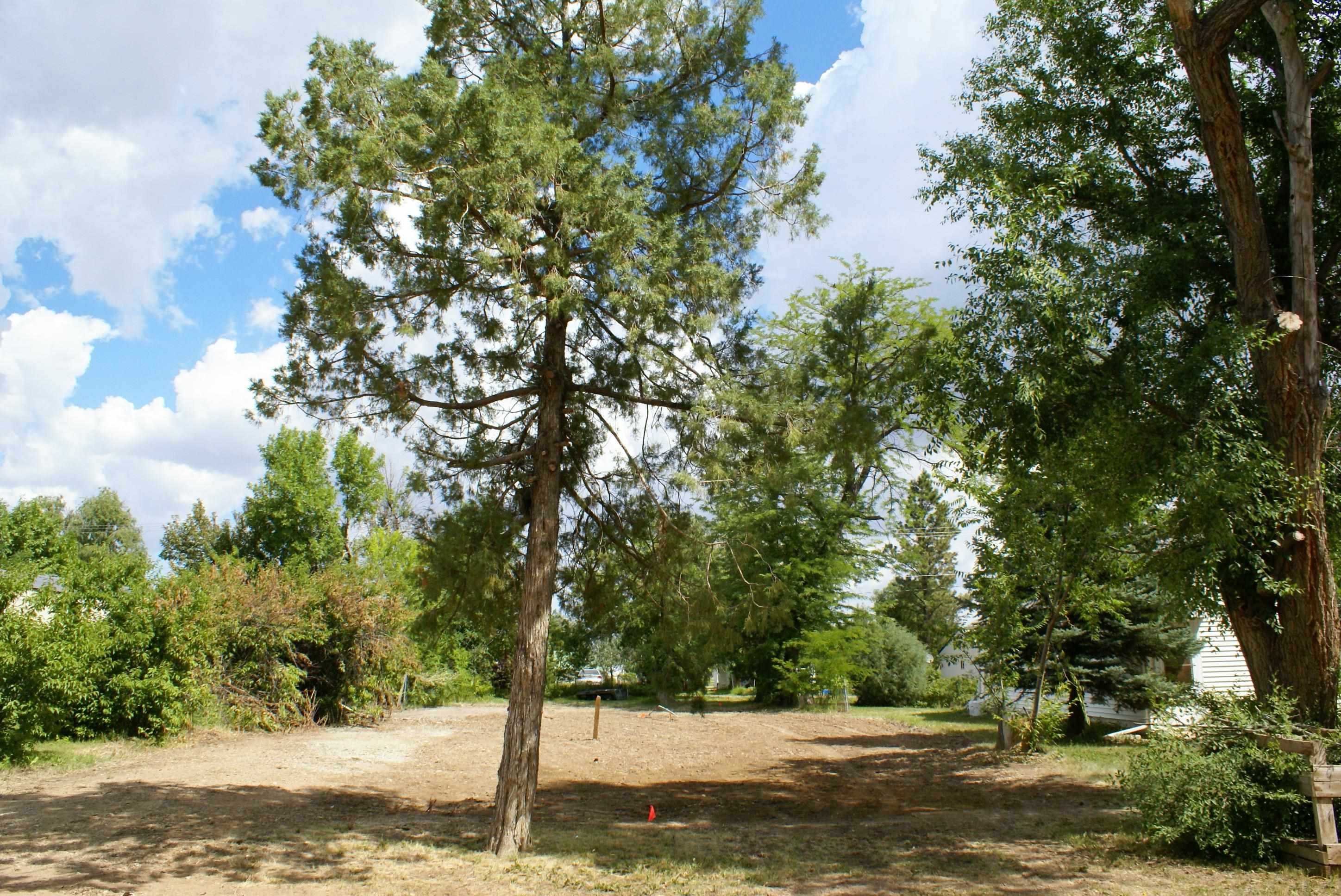 214 6th Street Property Photo 19