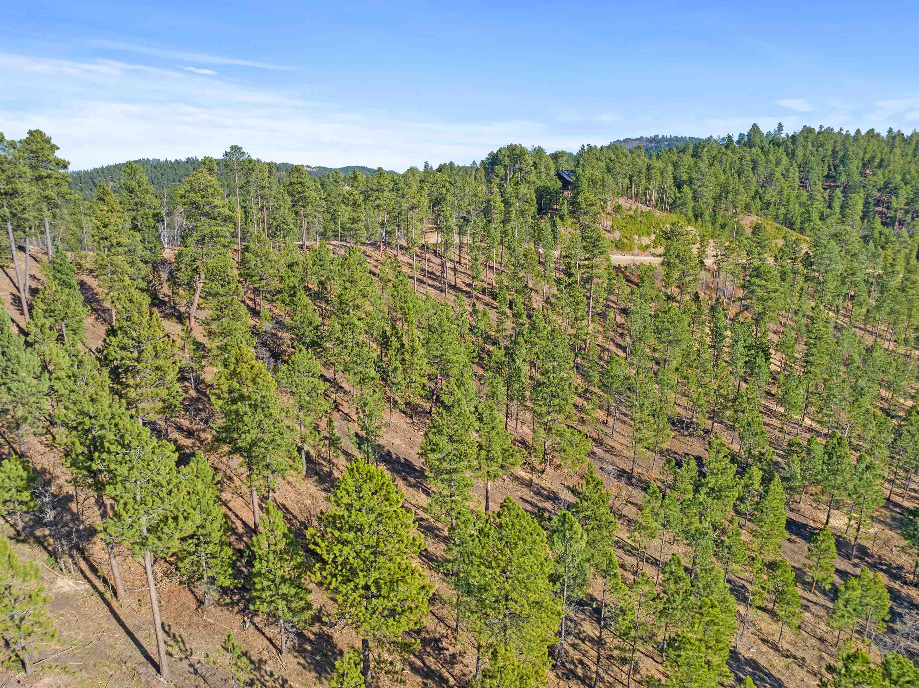 Lot 103r Paradise Gulch Loop Property Photo 6