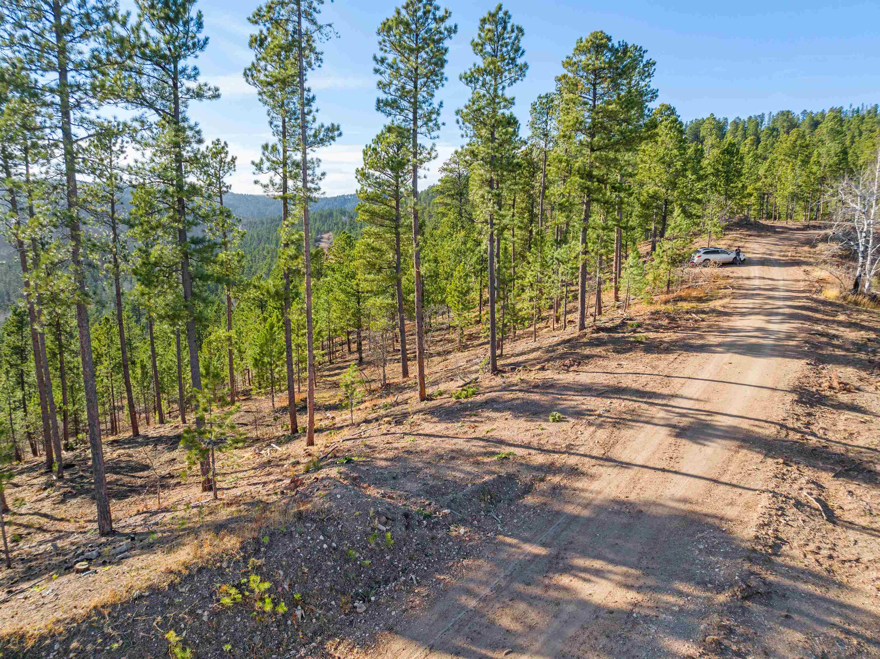 Lot 103r Paradise Gulch Loop Property Photo 7