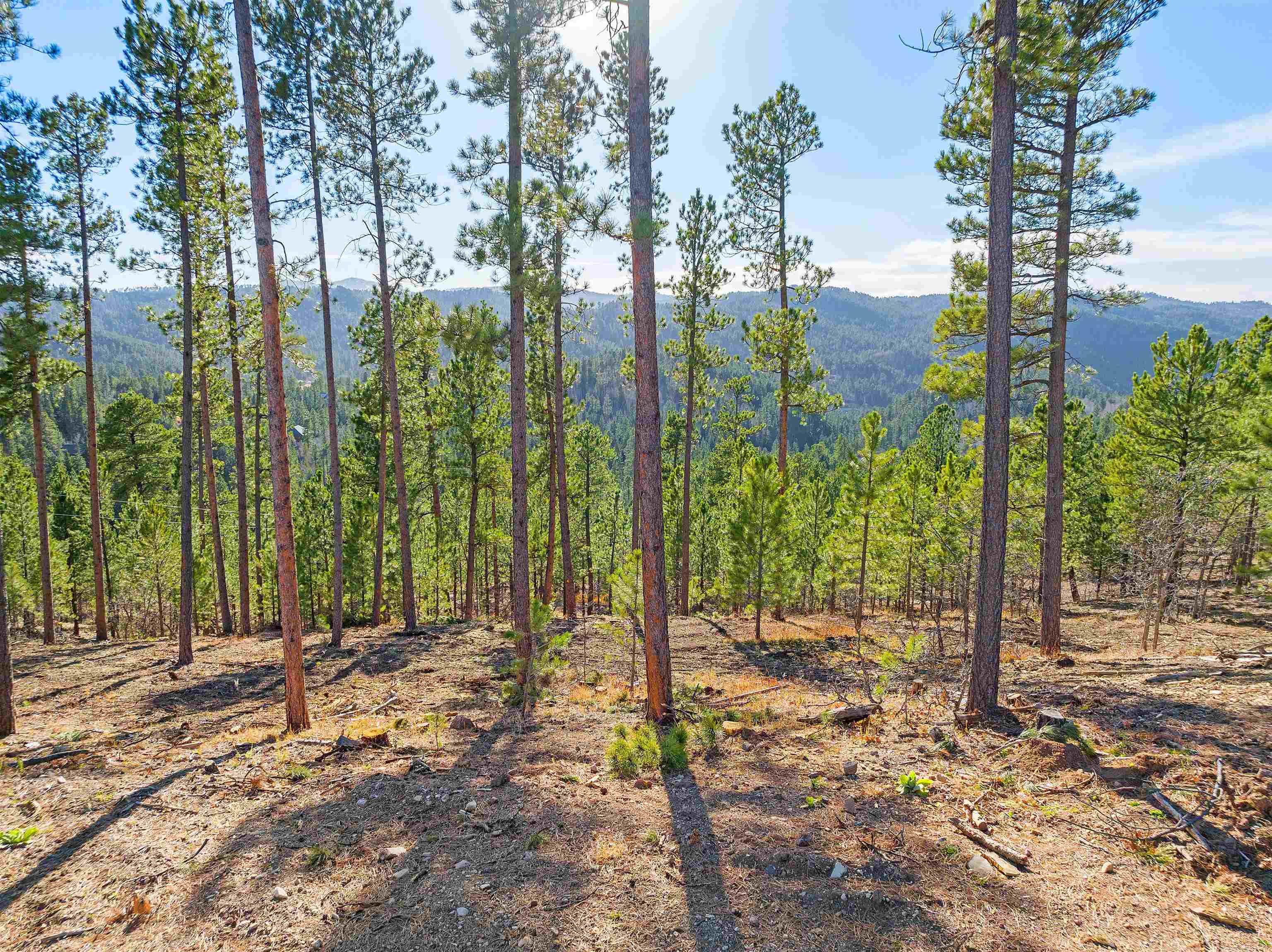Lot 103r Paradise Gulch Loop Property Photo 8