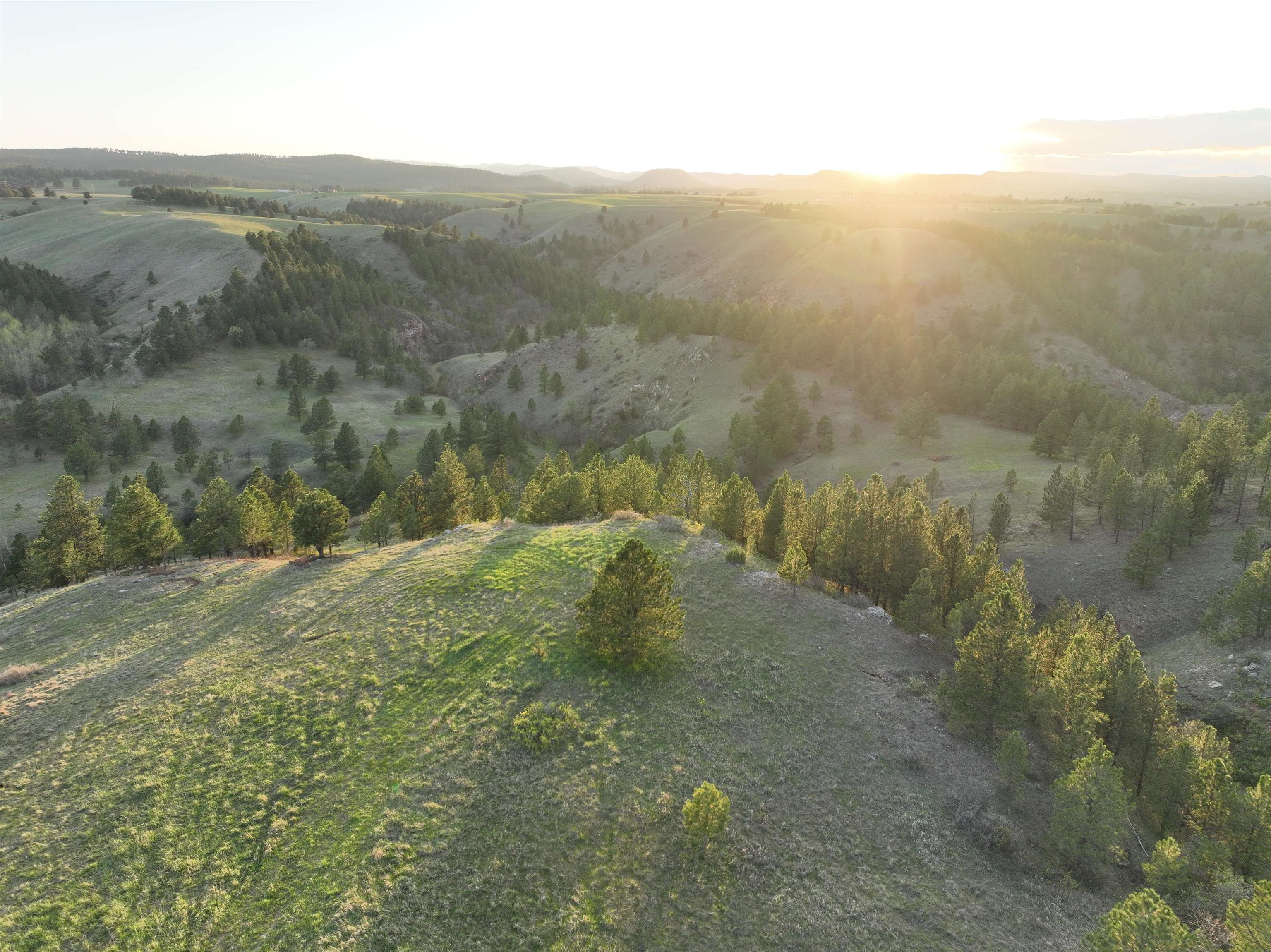 5609 Cloud Peak Drive Property Photo 8