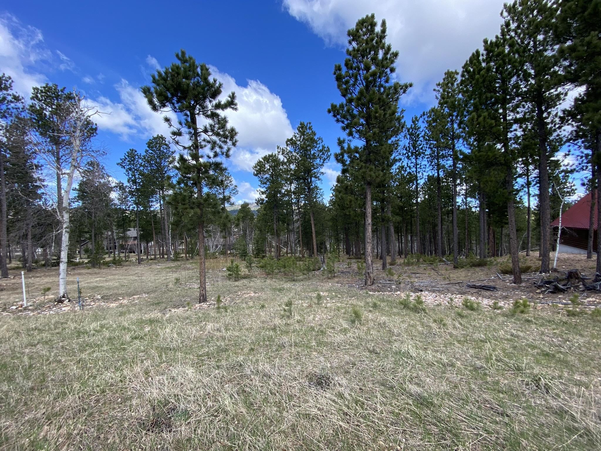 Lot 12 Sugarloaf Court Property Photo 1