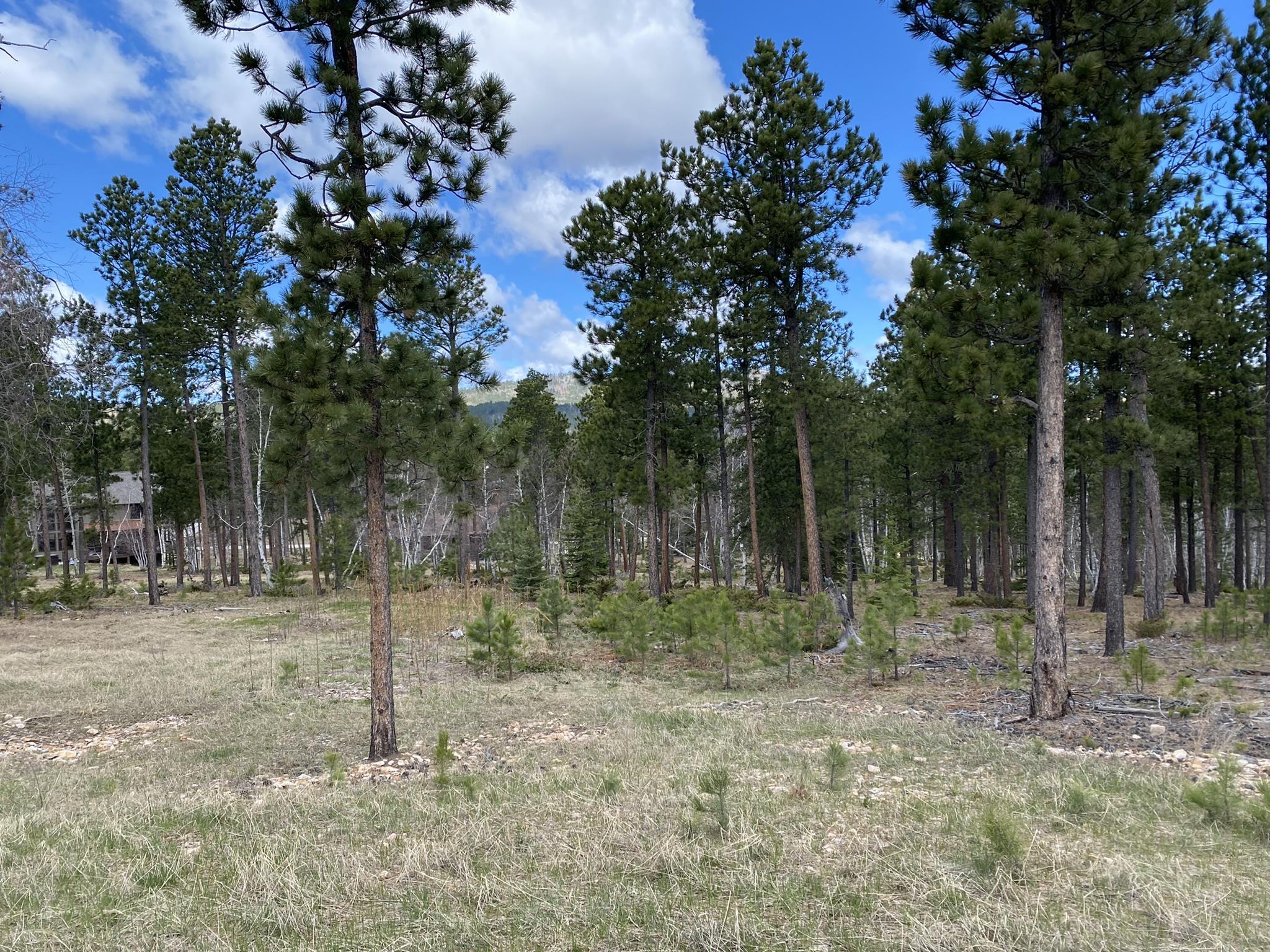 Lot 12 Sugarloaf Court Property Photo 4