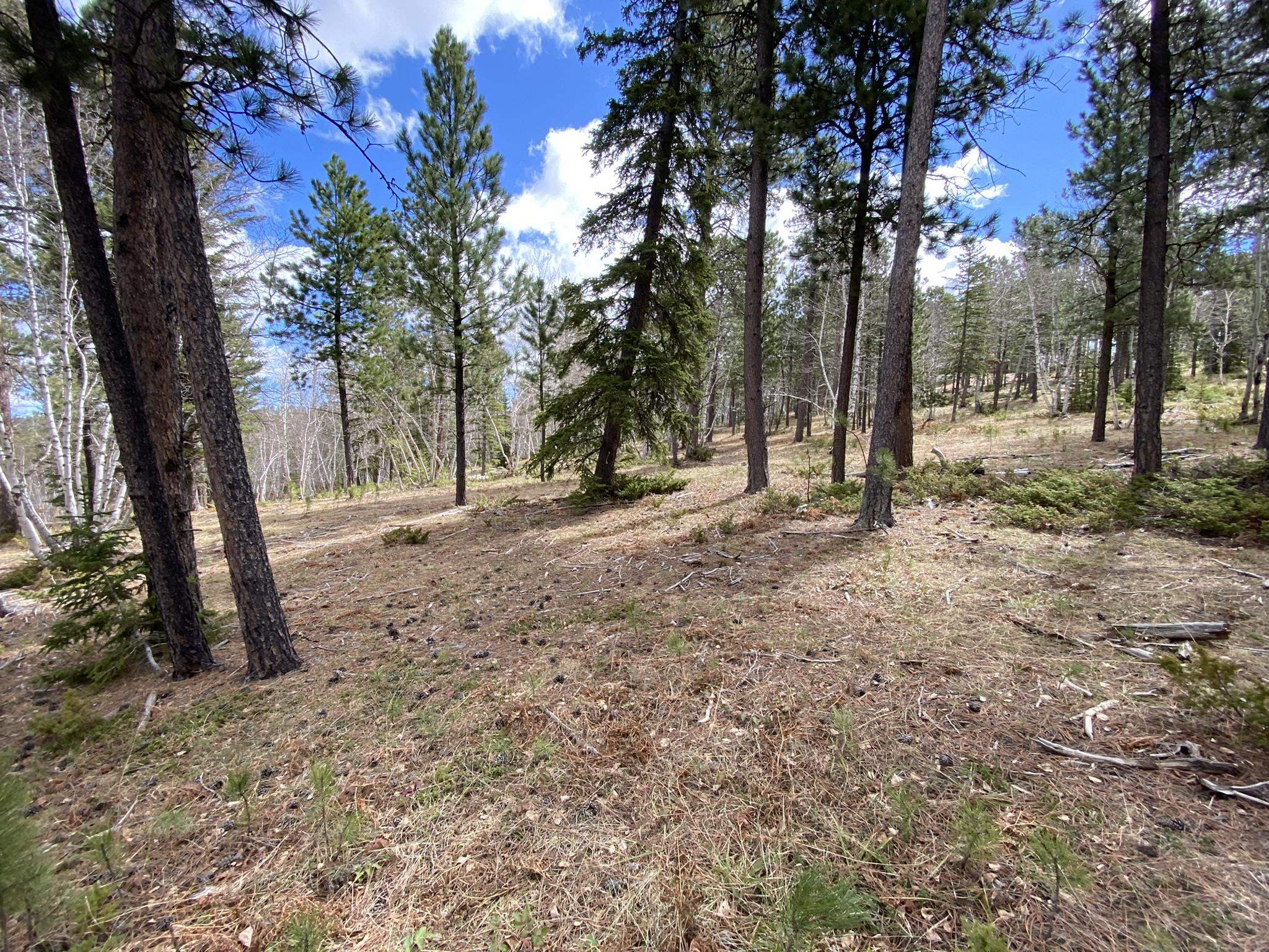 Lot 12 Sugarloaf Court Property Photo 5