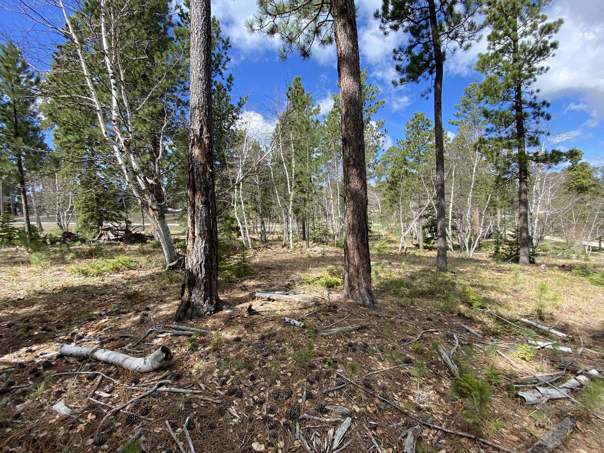 Lot 12 Sugarloaf Court Property Photo 6