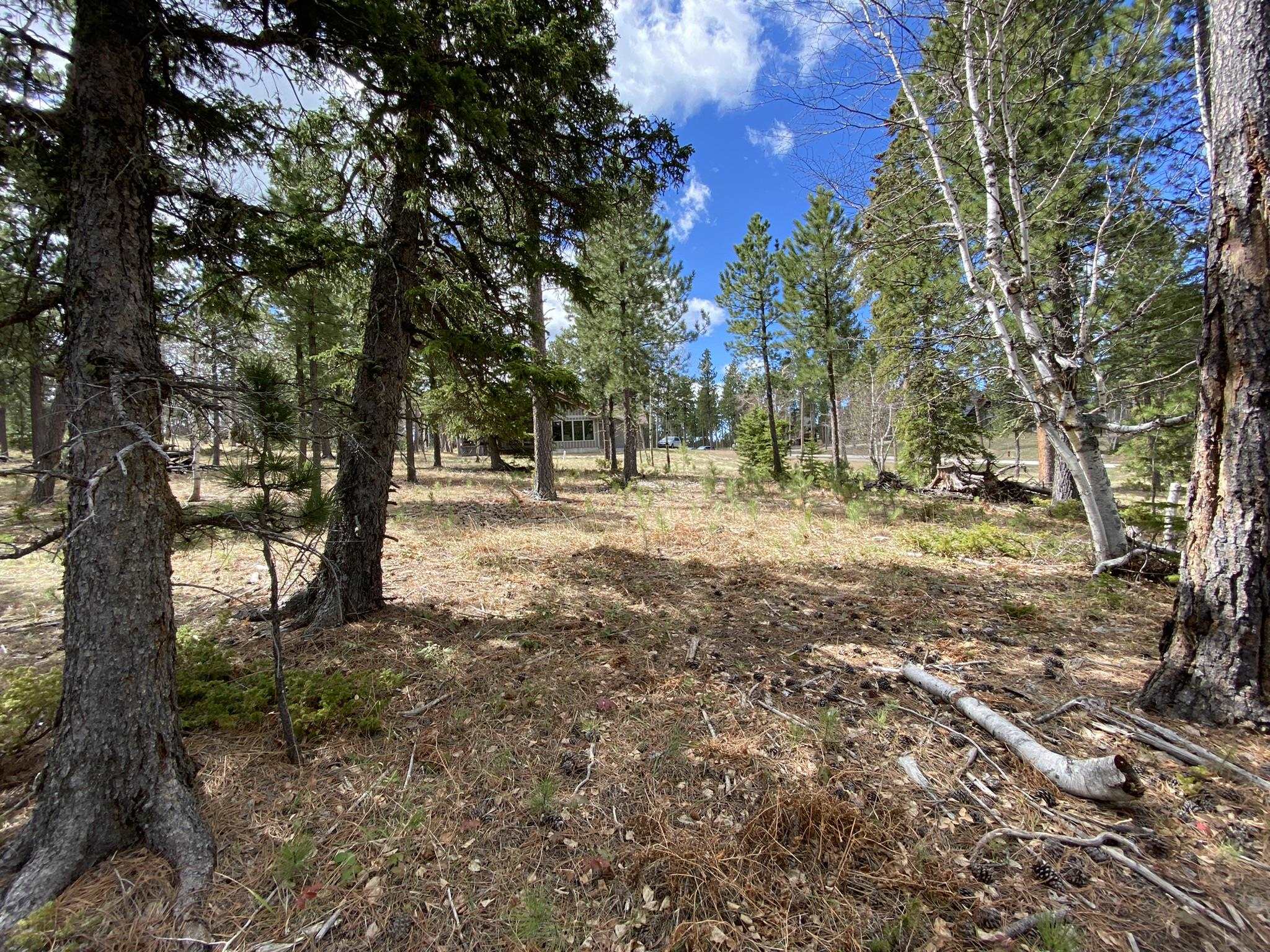 Lot 12 Sugarloaf Court Property Photo 7