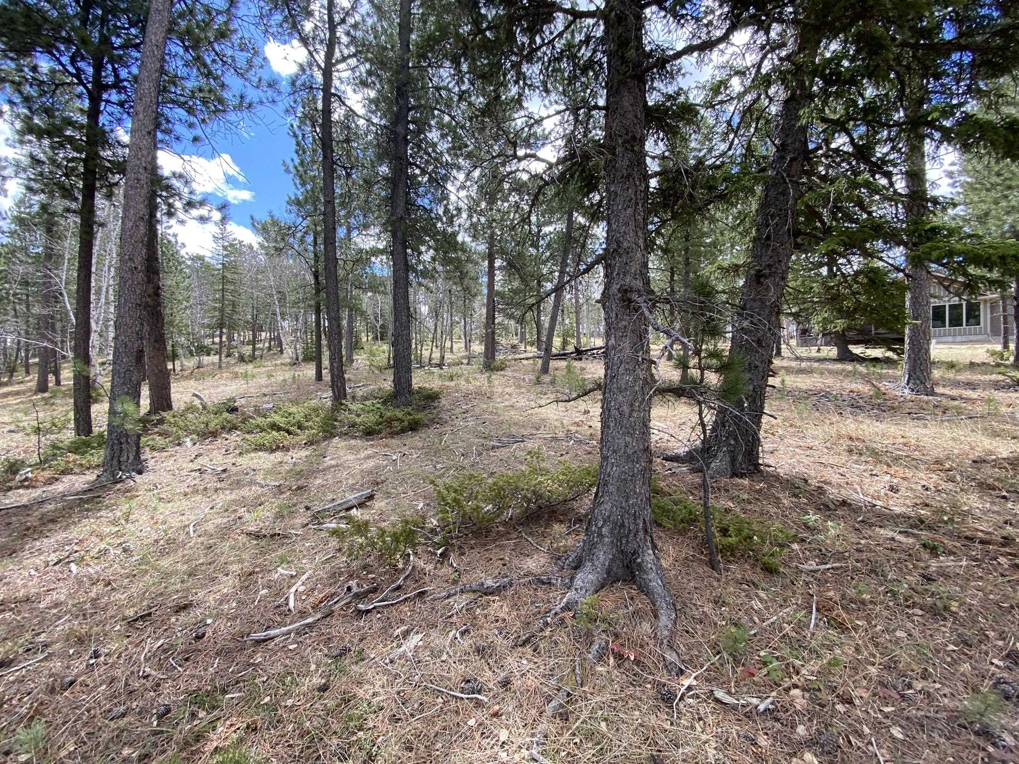 Lot 12 Sugarloaf Court Property Photo 8
