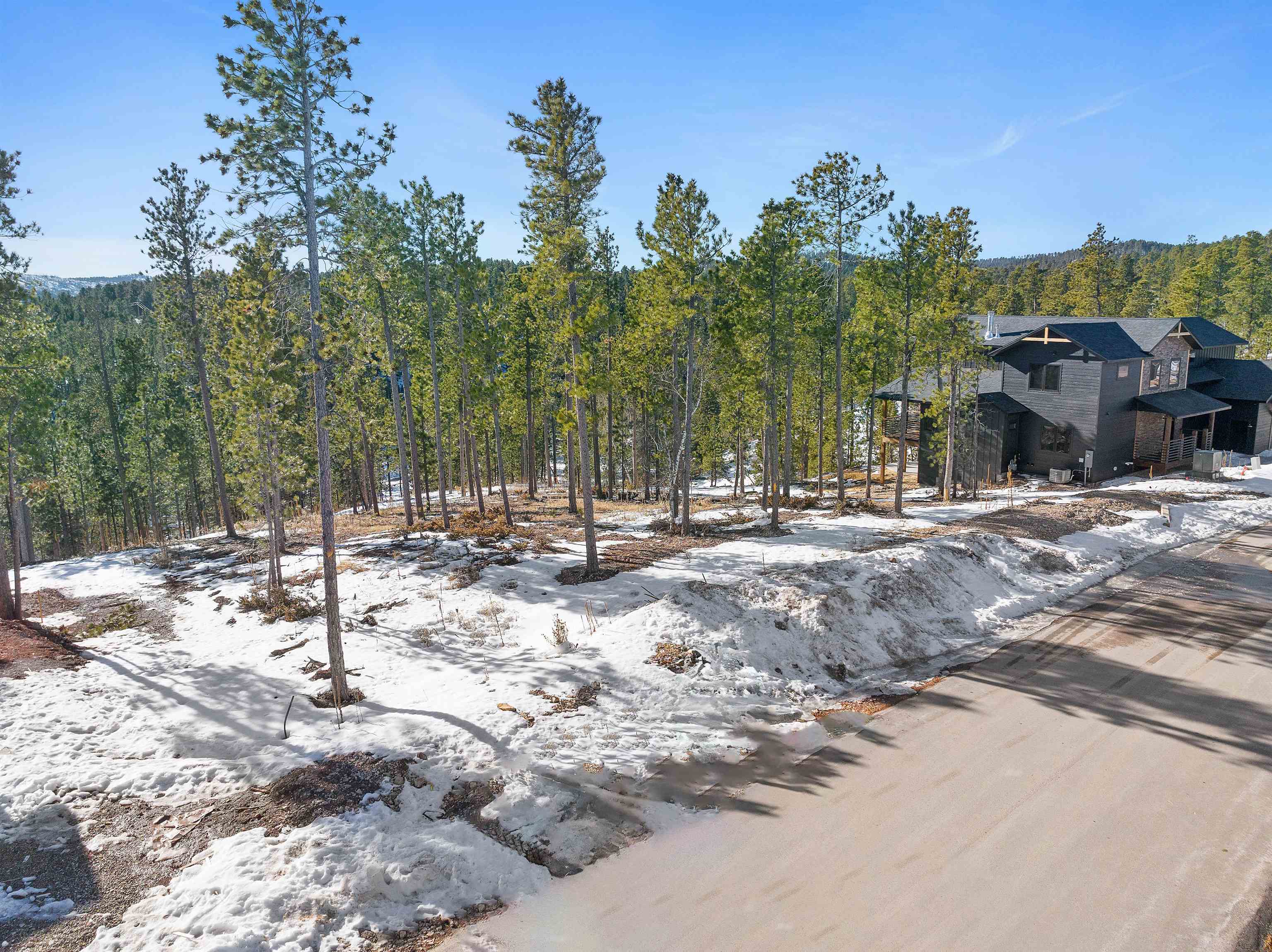 Lot 19 Overlook Court Property Photo 1