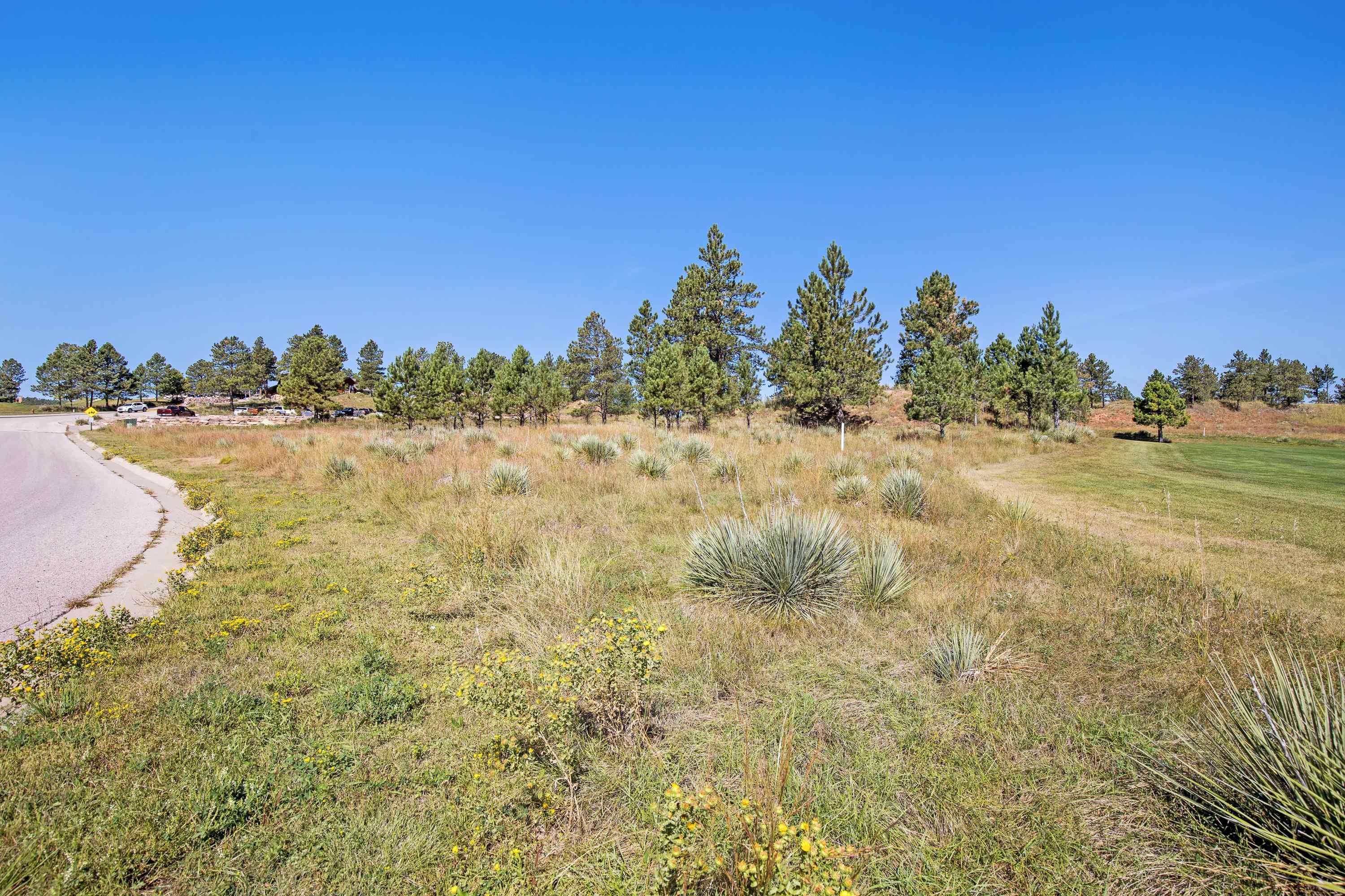 Tbd Clubhouse Drive Property Photo 17