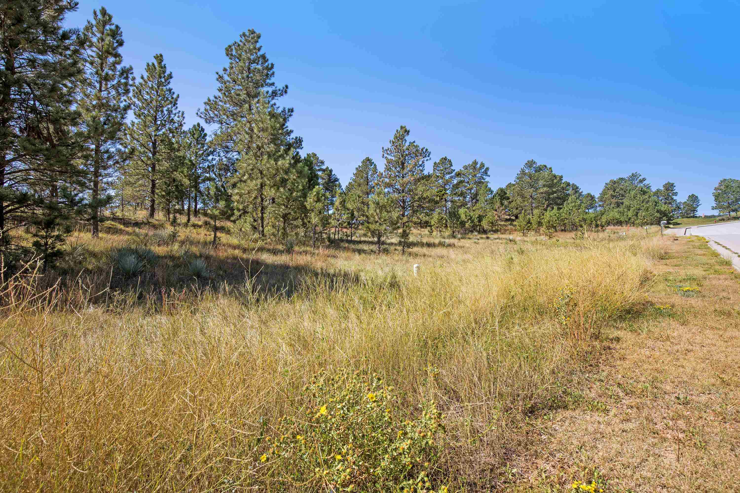 Tbd Clubhouse Drive Property Photo 18