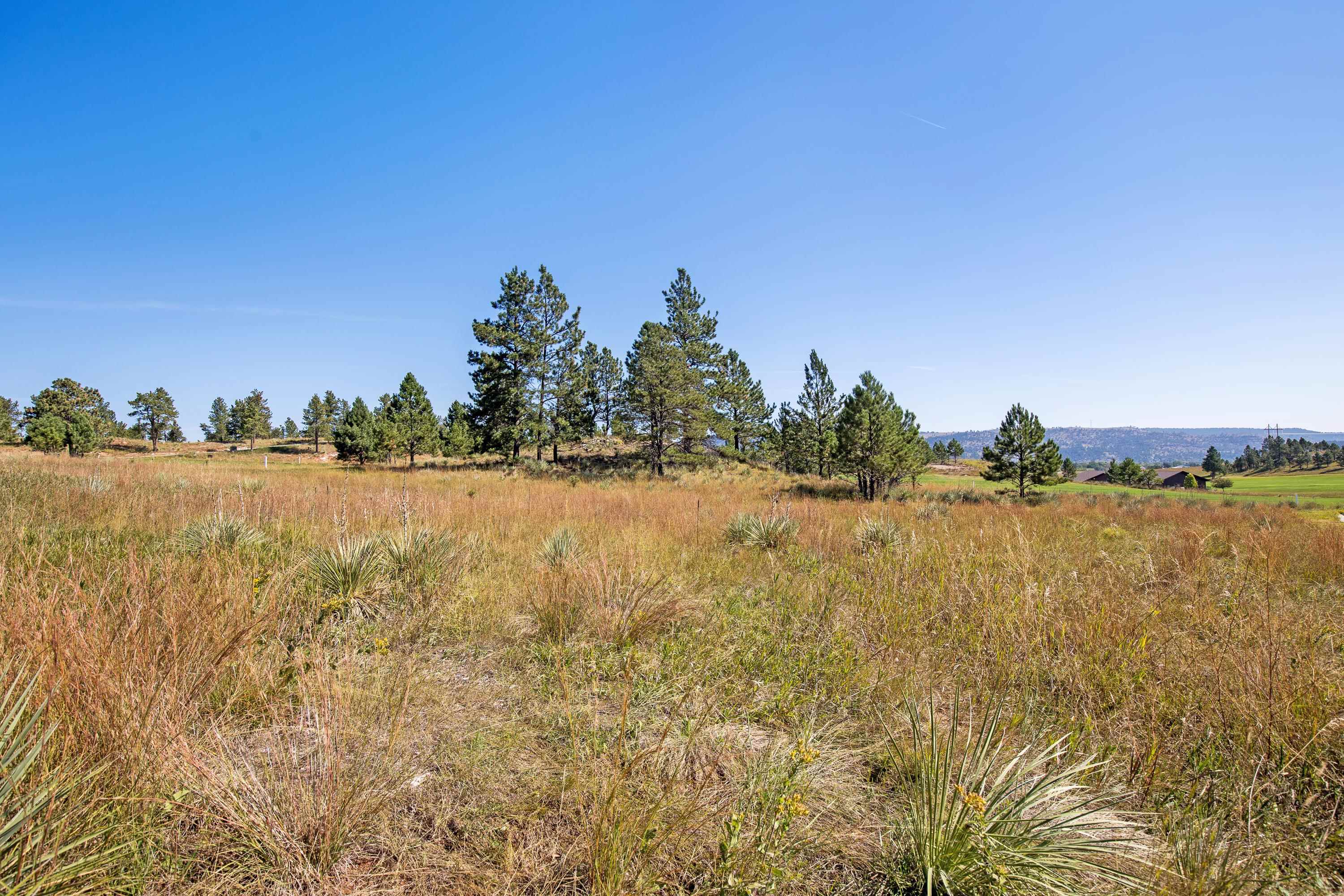 Tbd Clubhouse Drive Property Photo 19