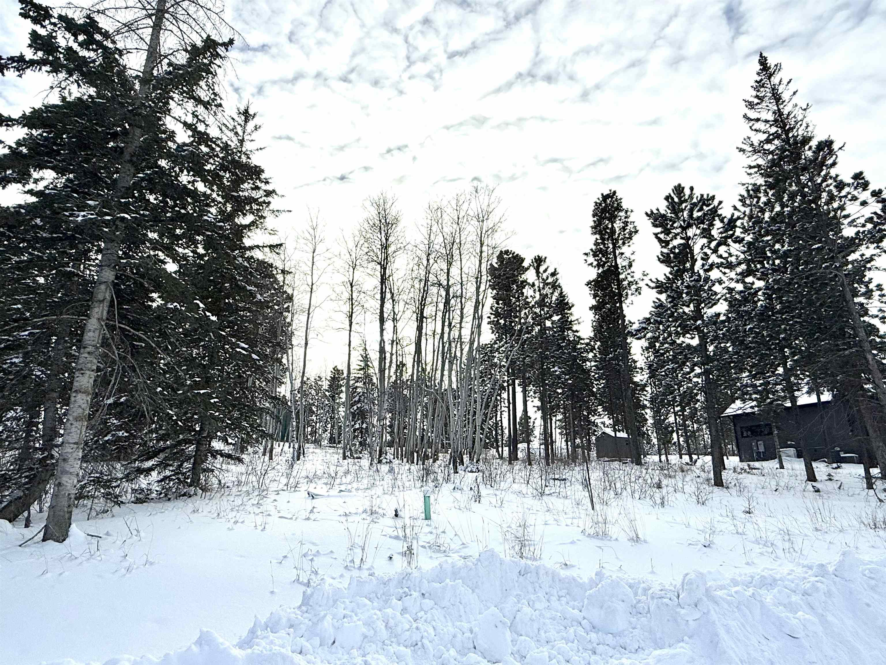 Tbd Lot31 Blk8 Smokey Stoke Court Property Photo 6