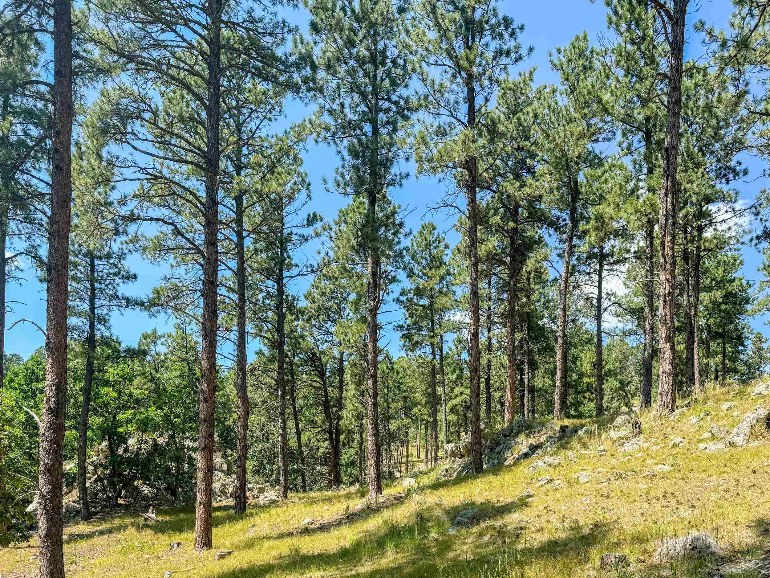 Tract Campfire Three Meadows Road Property Photo 1