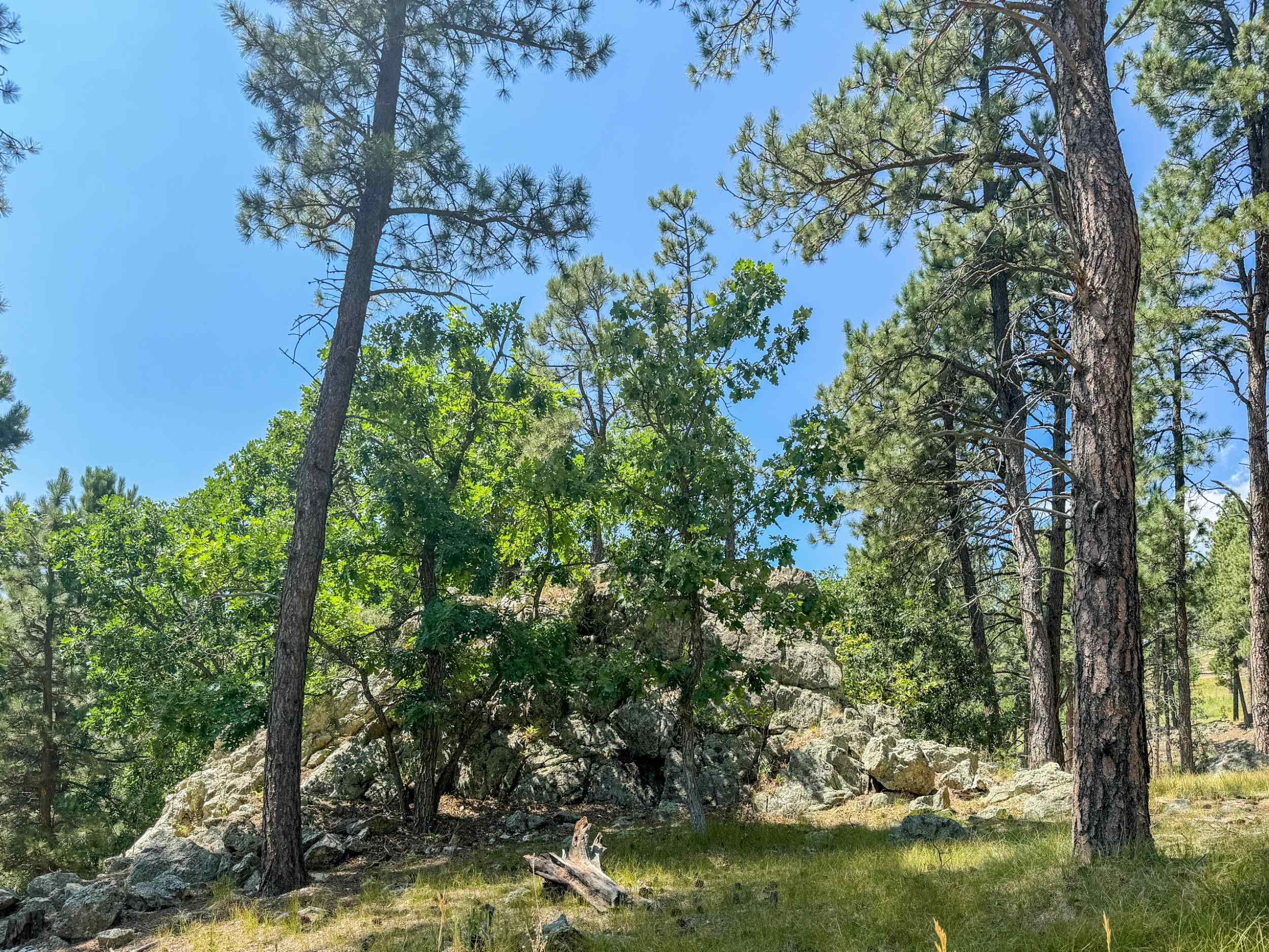 Tract Campfire Three Meadows Road Property Photo 2