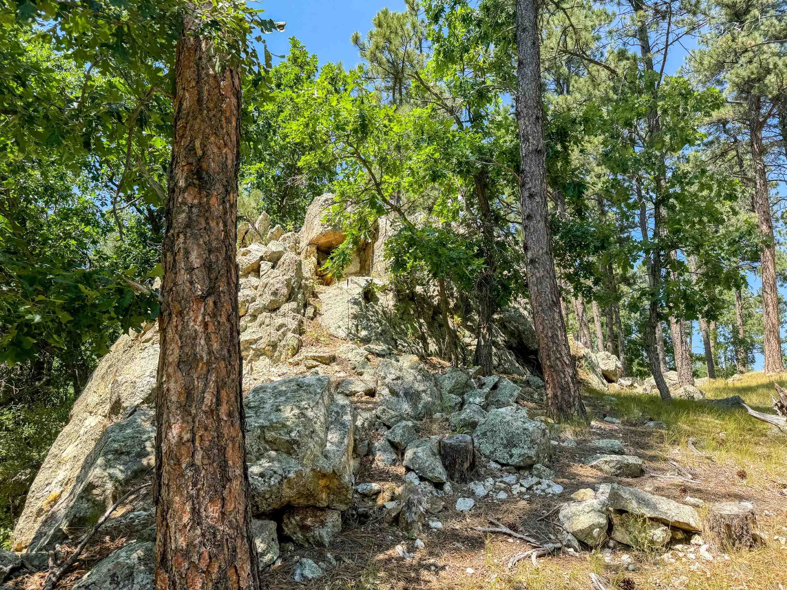 Tract Campfire Three Meadows Road Property Photo 3