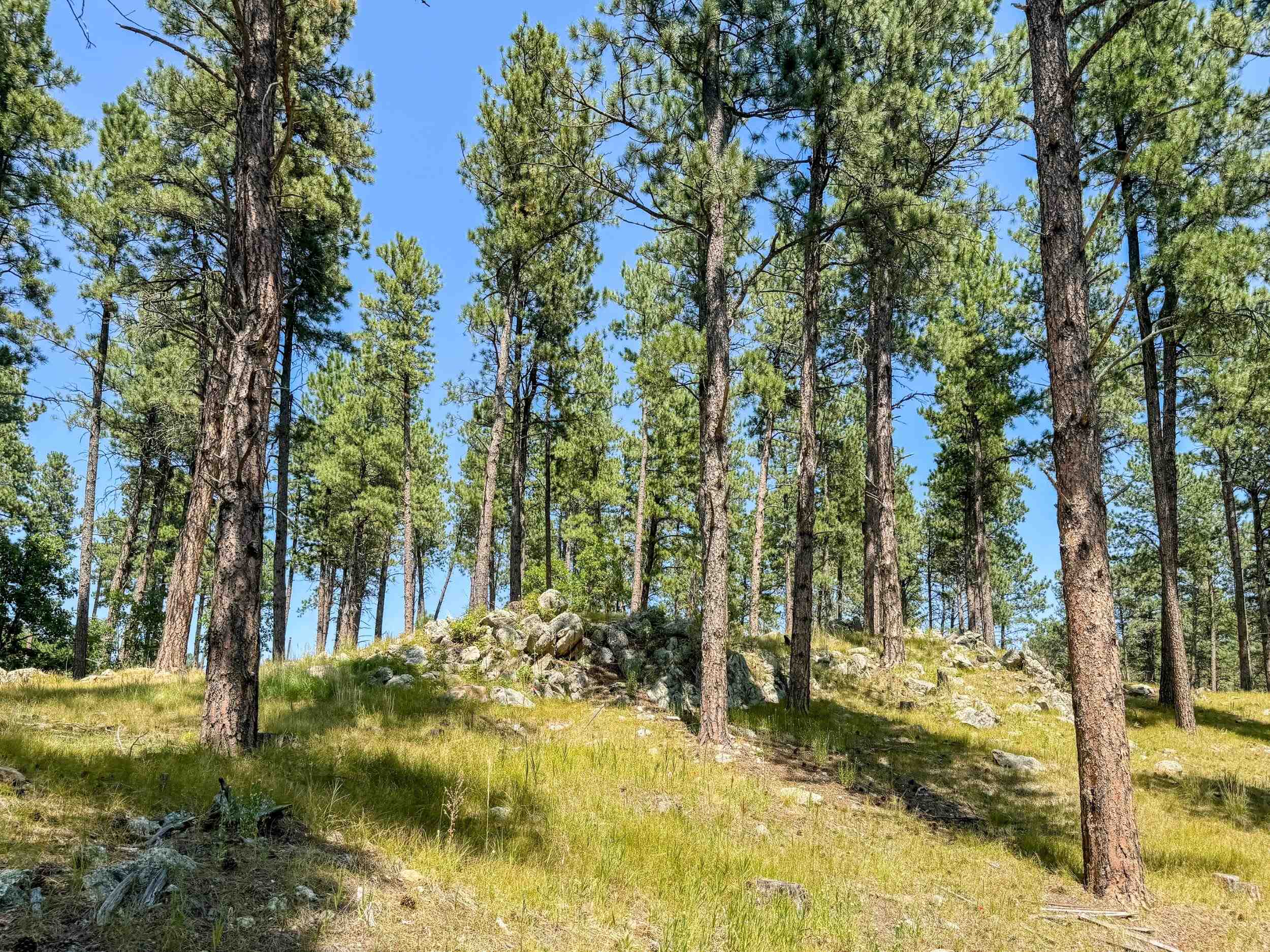 Tract Campfire Three Meadows Road Property Photo 4