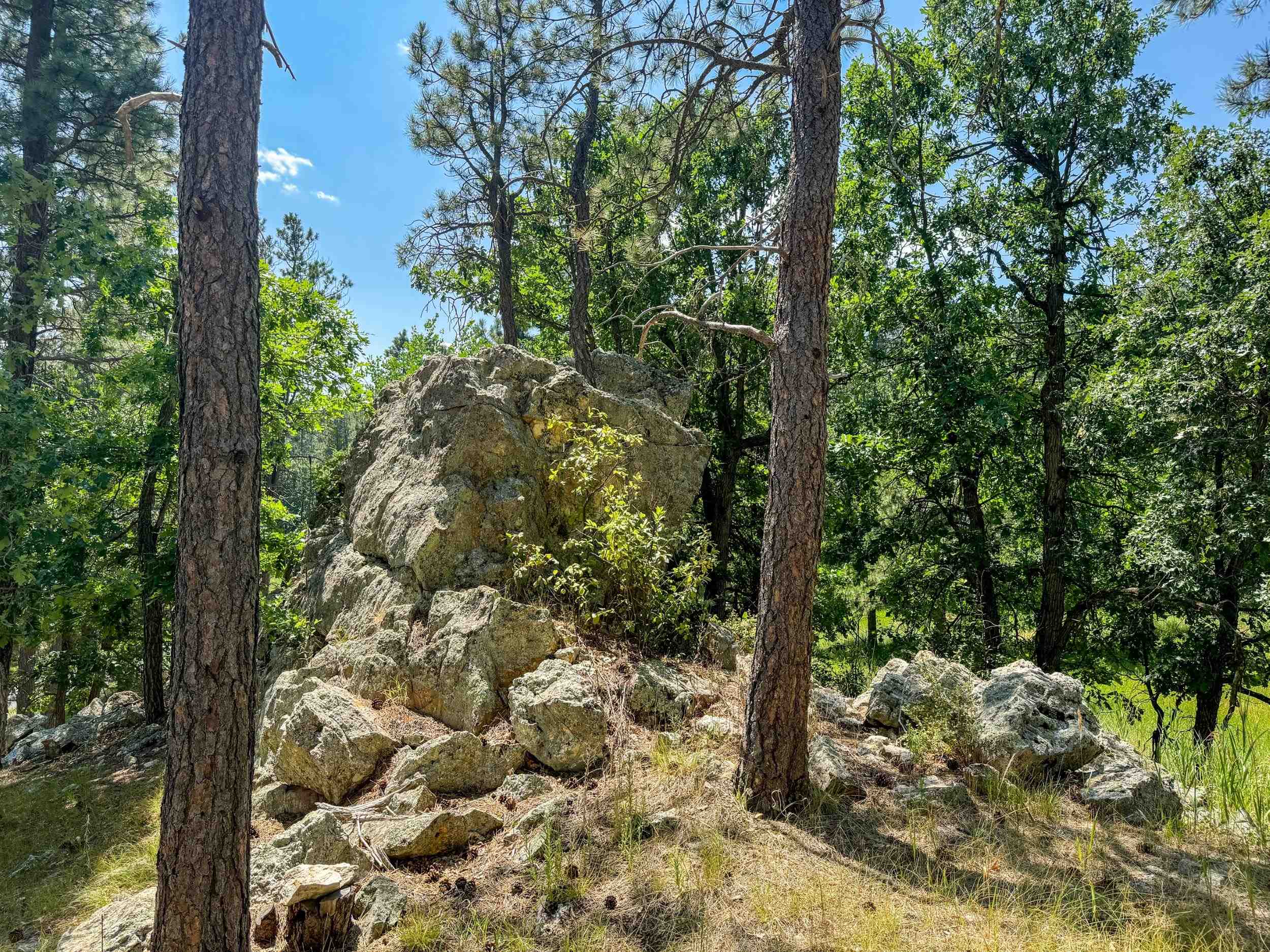 Tract Campfire Three Meadows Road Property Photo 5