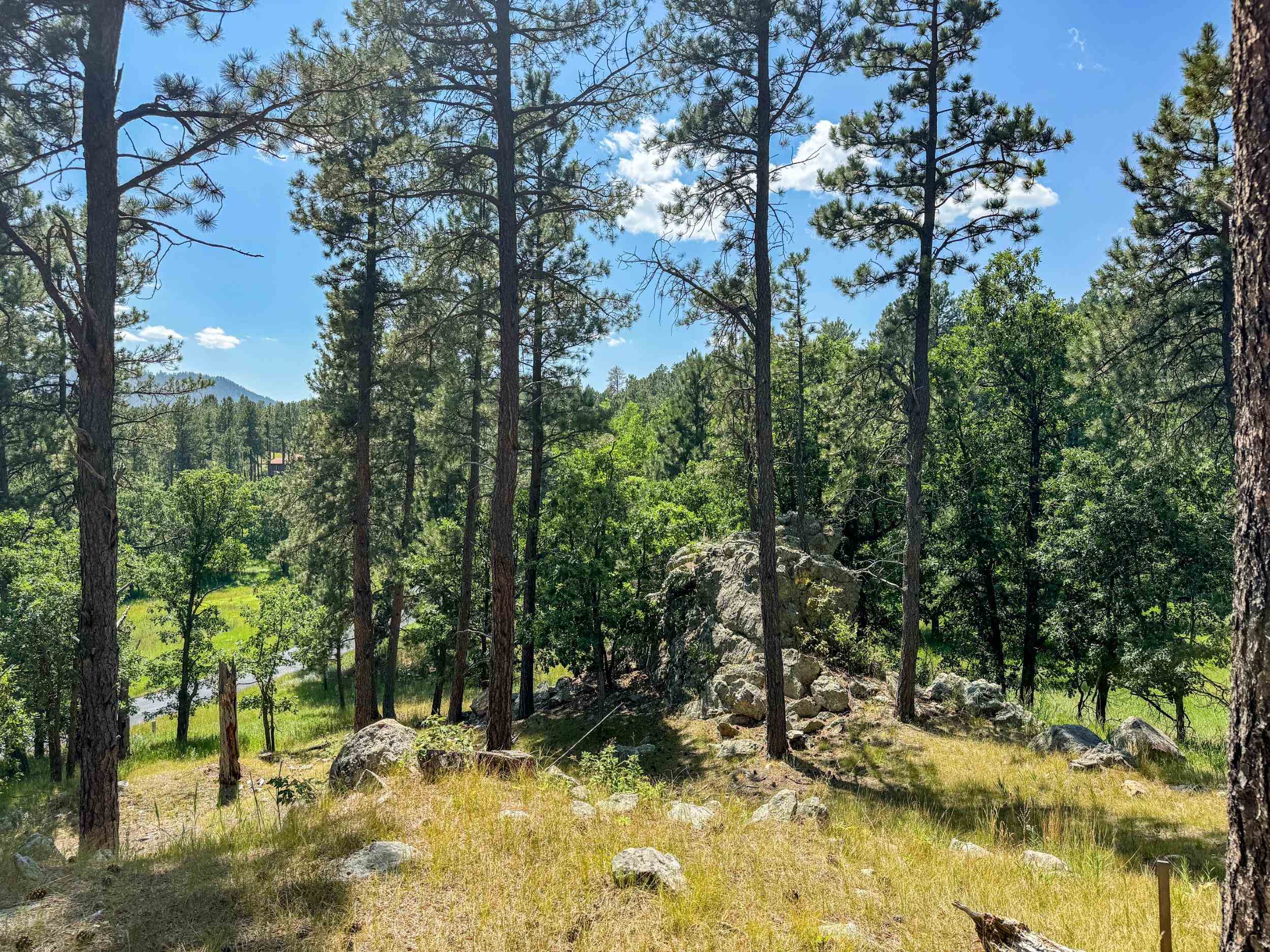 Tract Campfire Three Meadows Road Property Photo 6