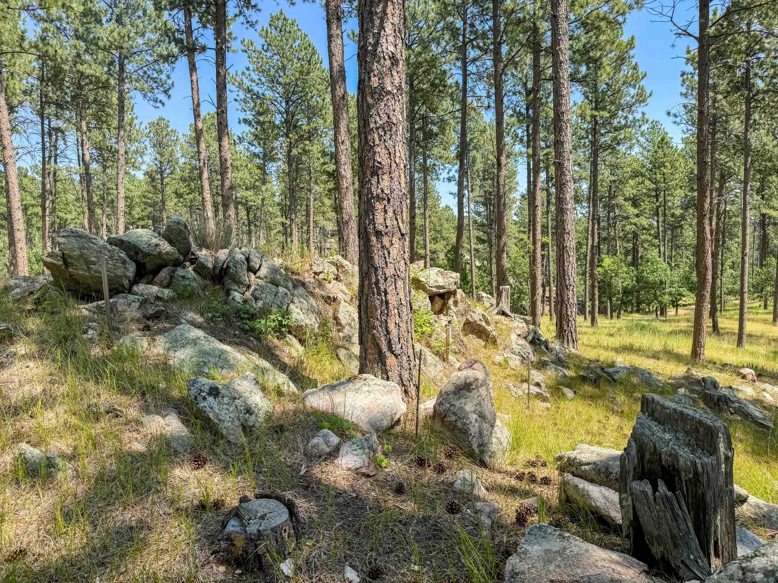 Tract Campfire Three Meadows Road Property Photo 7