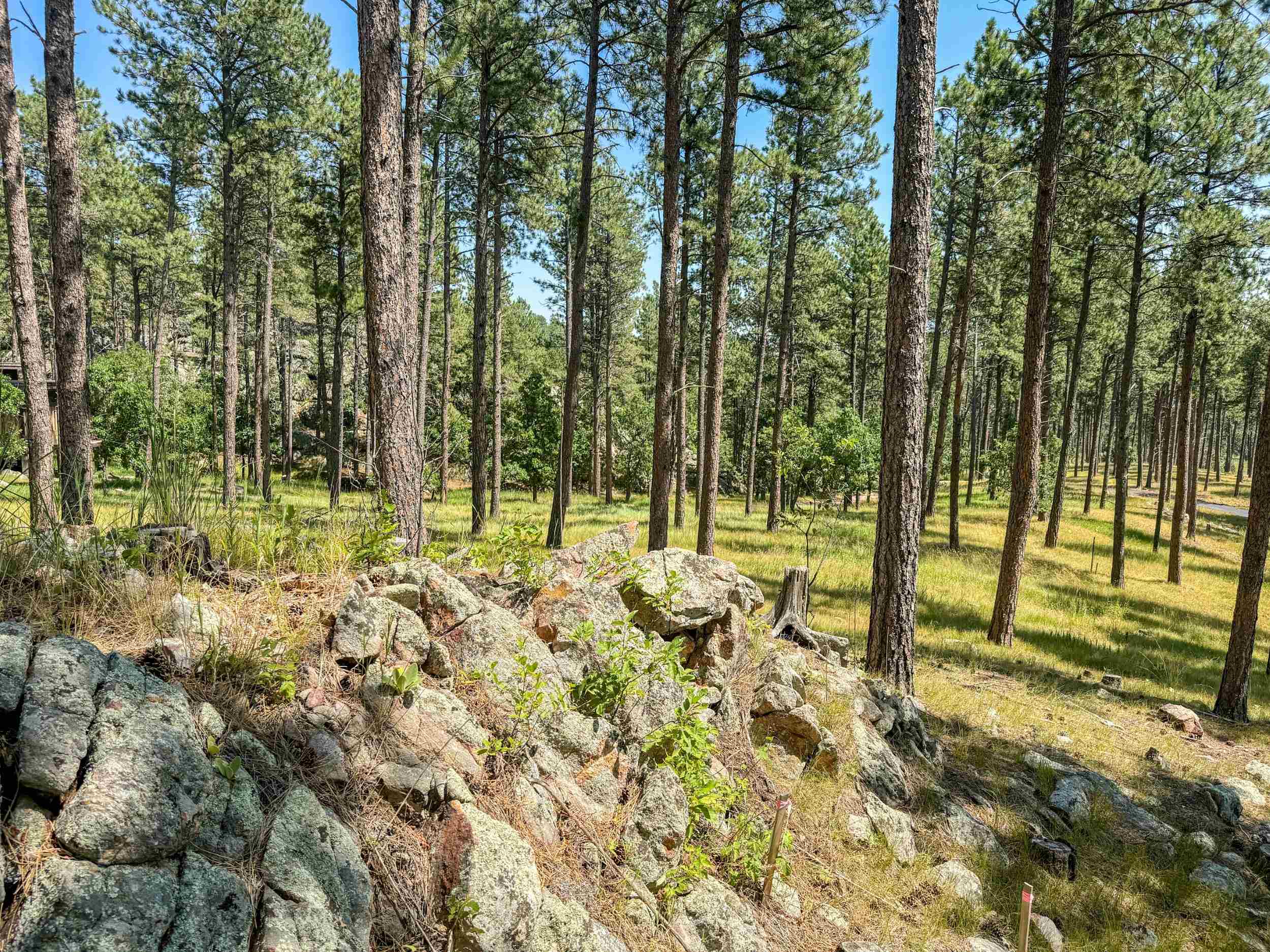 Tract Campfire Three Meadows Road Property Photo 9