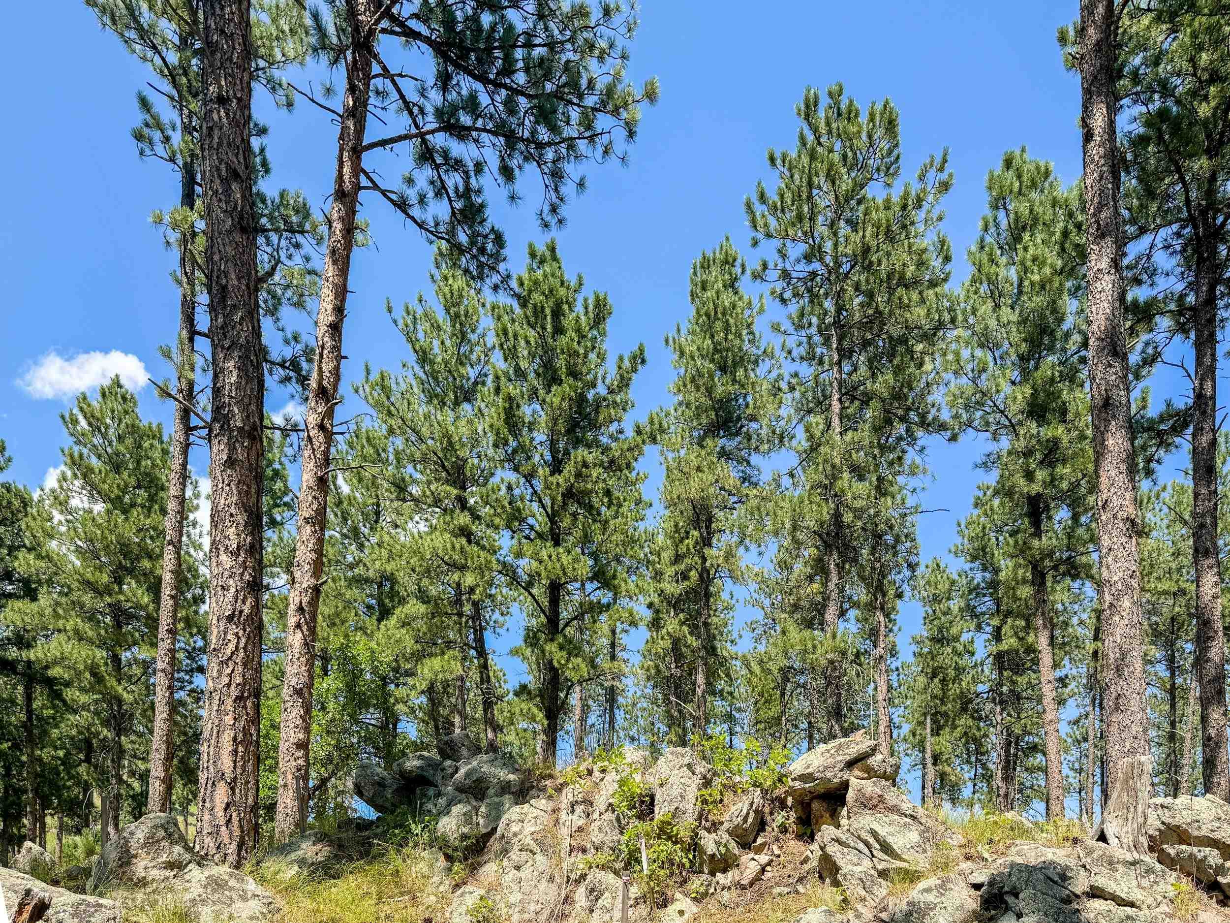 Tract Campfire Three Meadows Road Property Photo 10