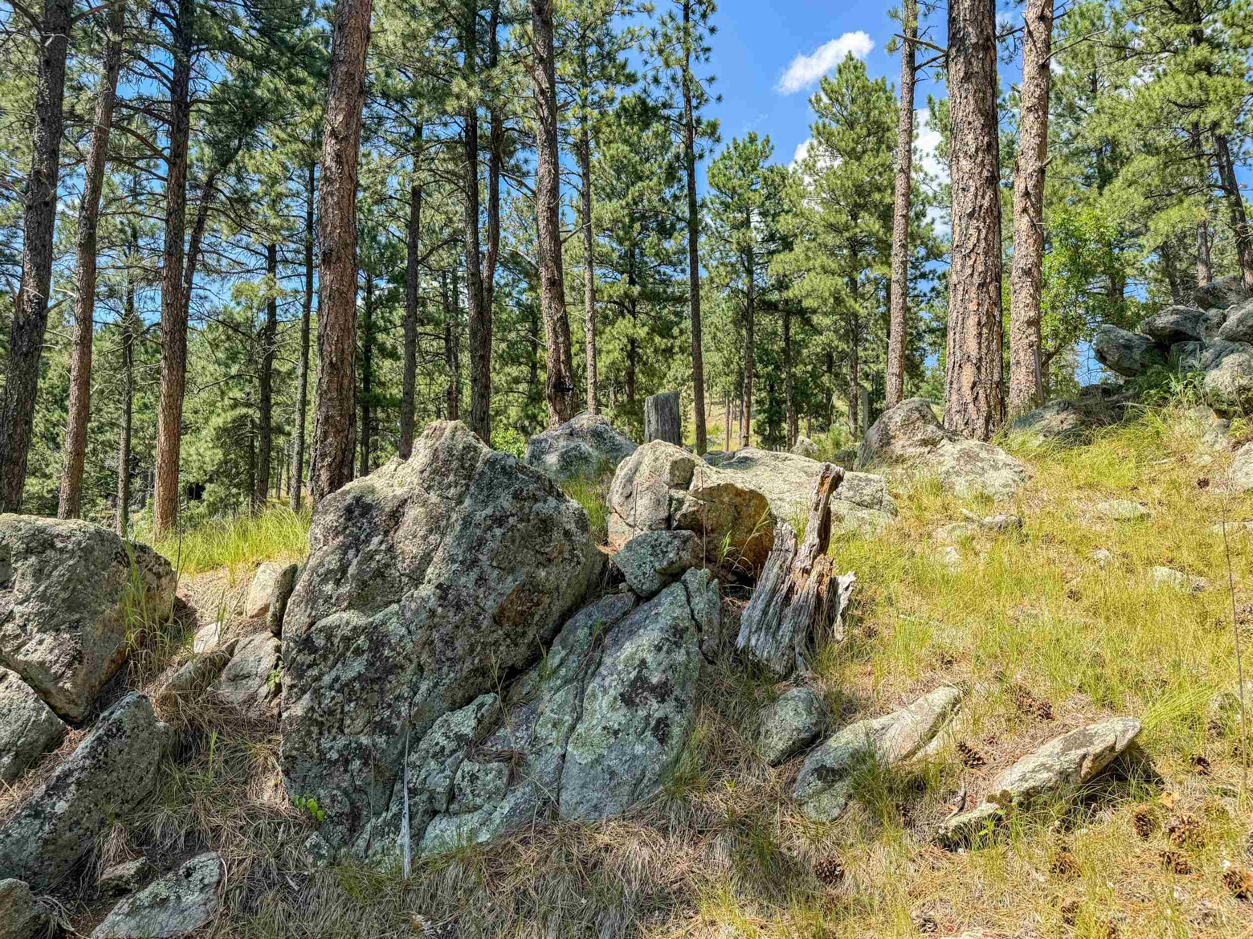 Tract Campfire Three Meadows Road Property Photo 11
