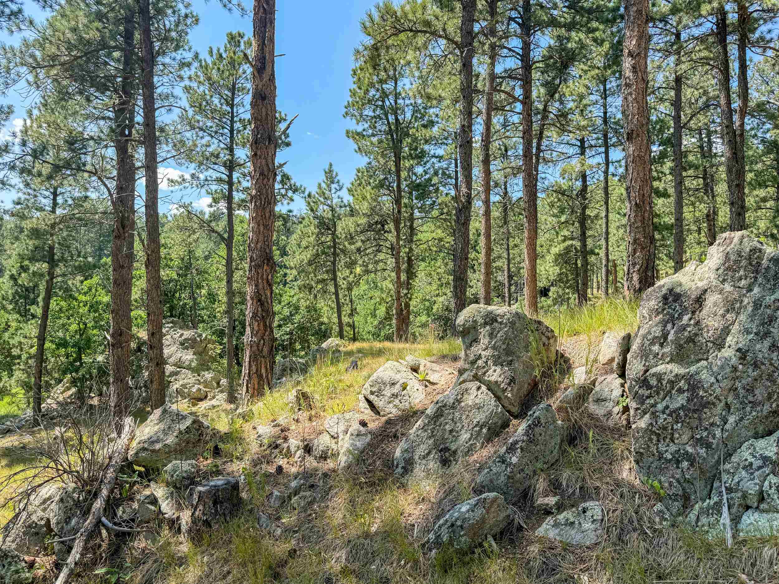 Tract Campfire Three Meadows Road Property Photo 12