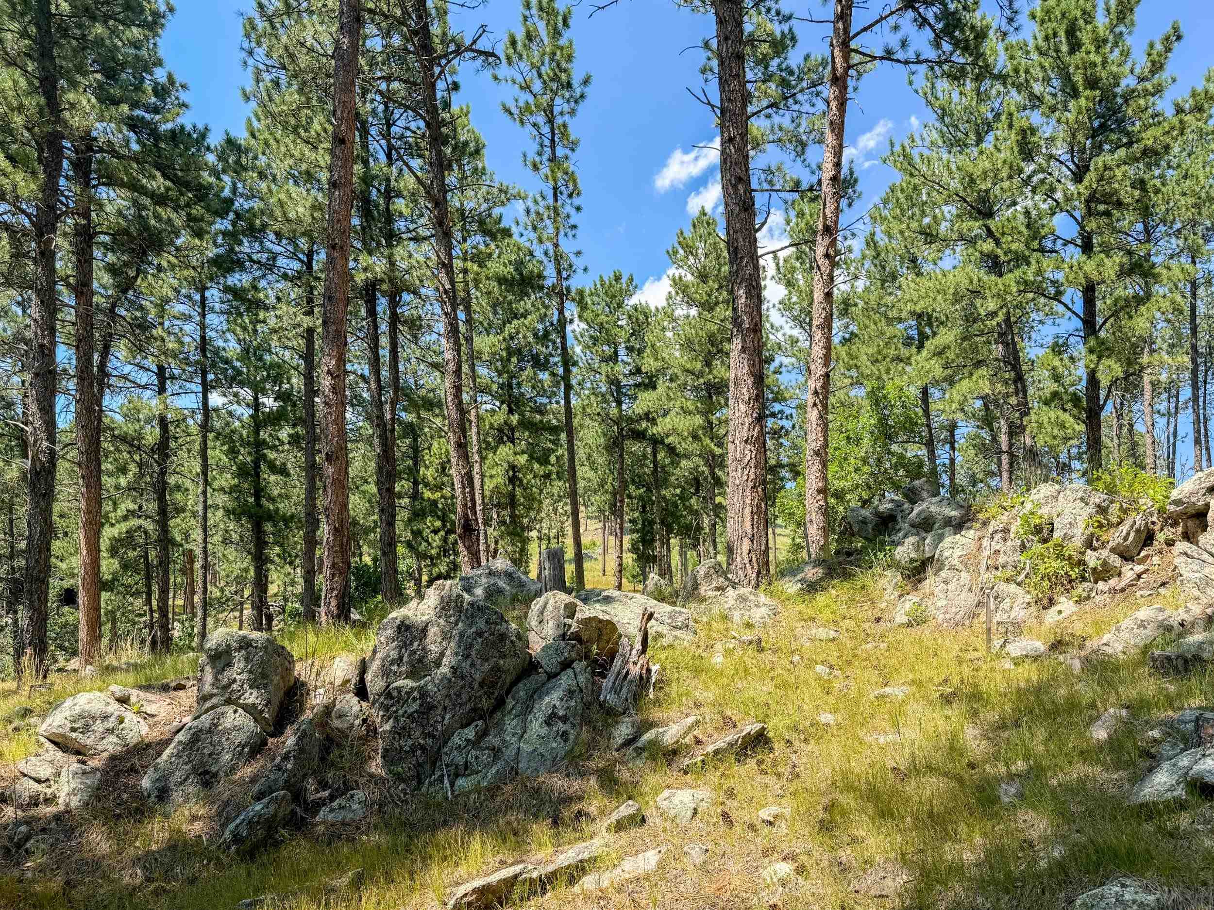 Tract Campfire Three Meadows Road Property Photo 13