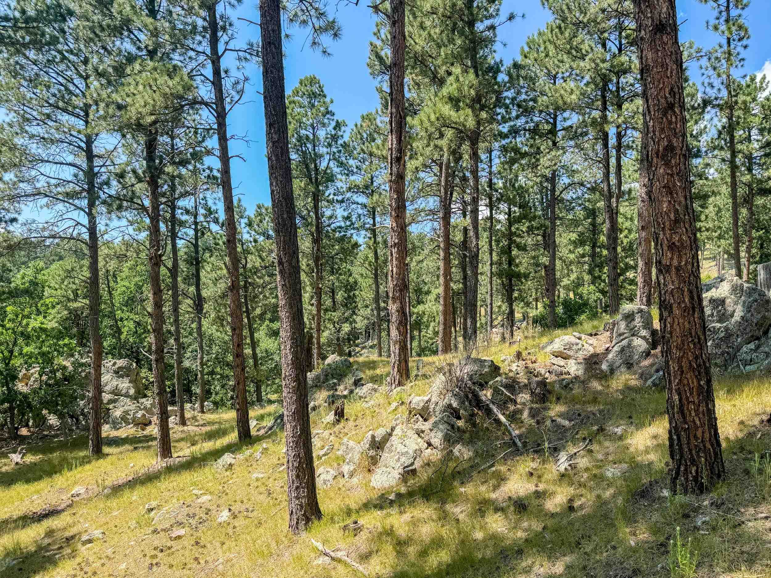 Tract Campfire Three Meadows Road Property Photo 14