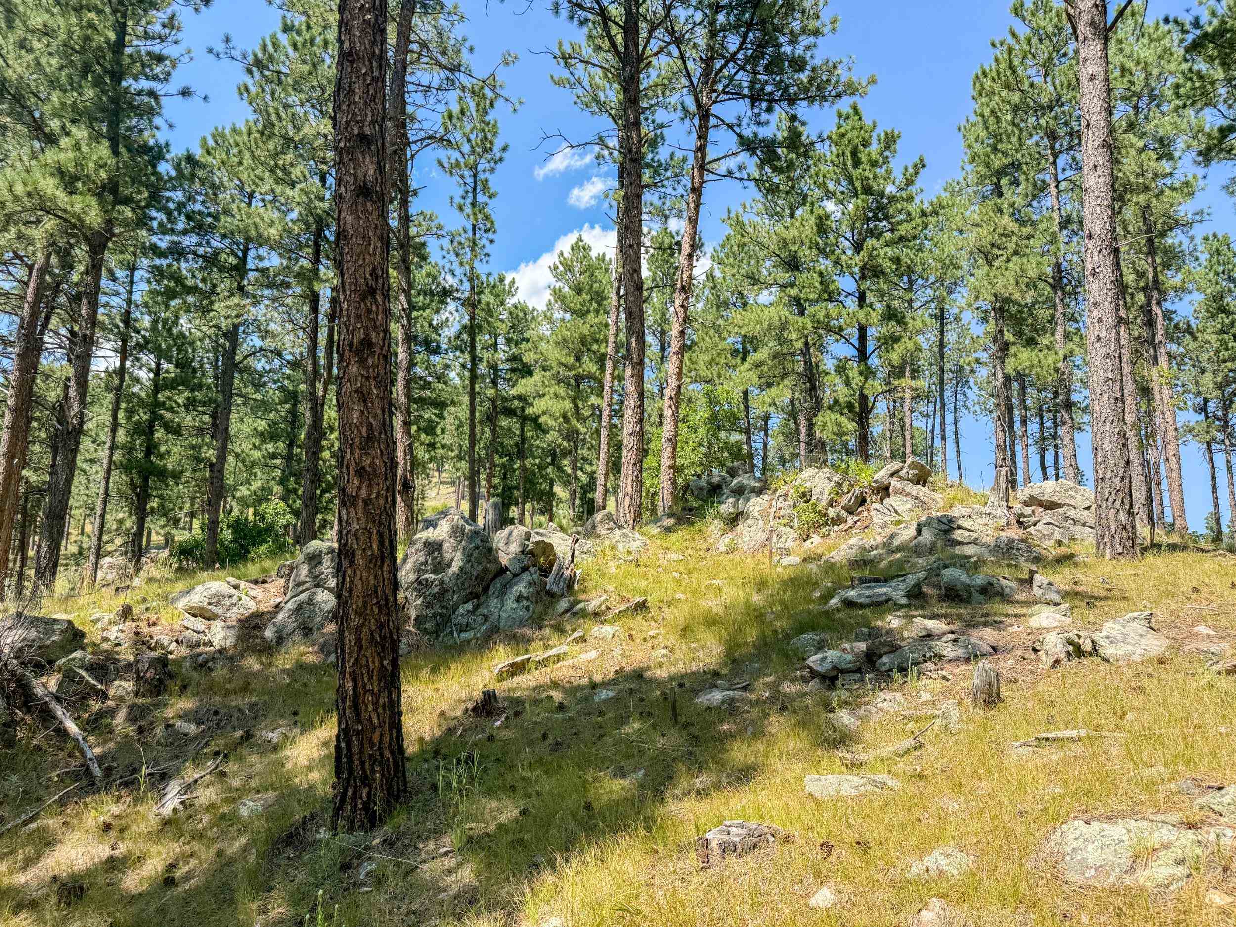 Tract Campfire Three Meadows Road Property Photo 15