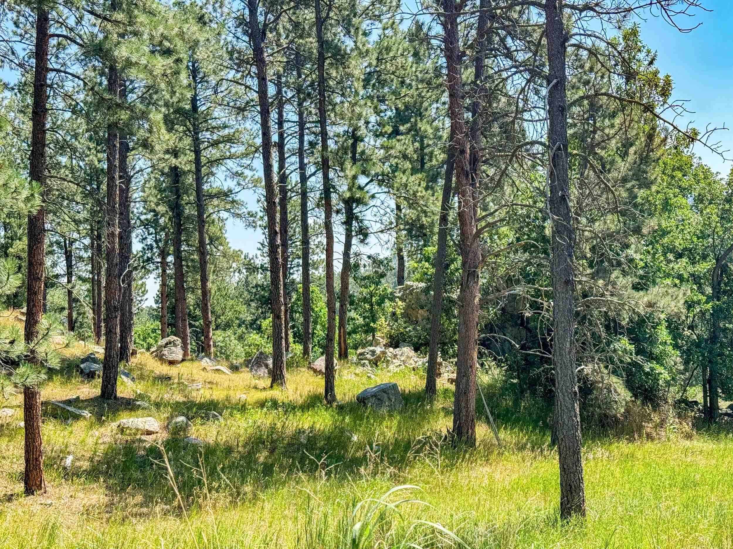 Tract Campfire Three Meadows Road Property Photo 16