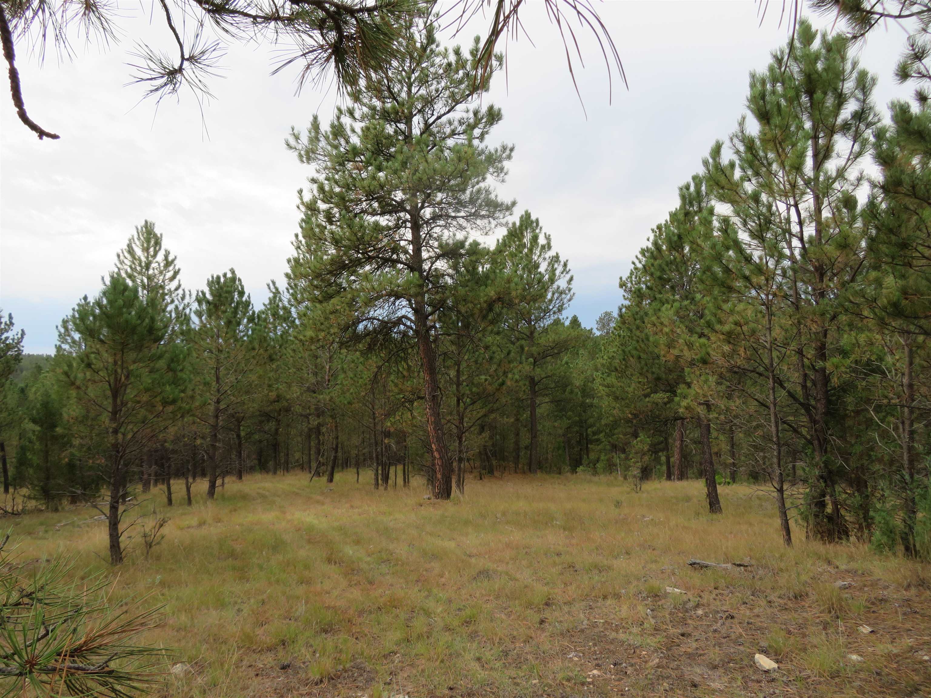Tbd Lot 34b Hombre Trail Property Photo 1
