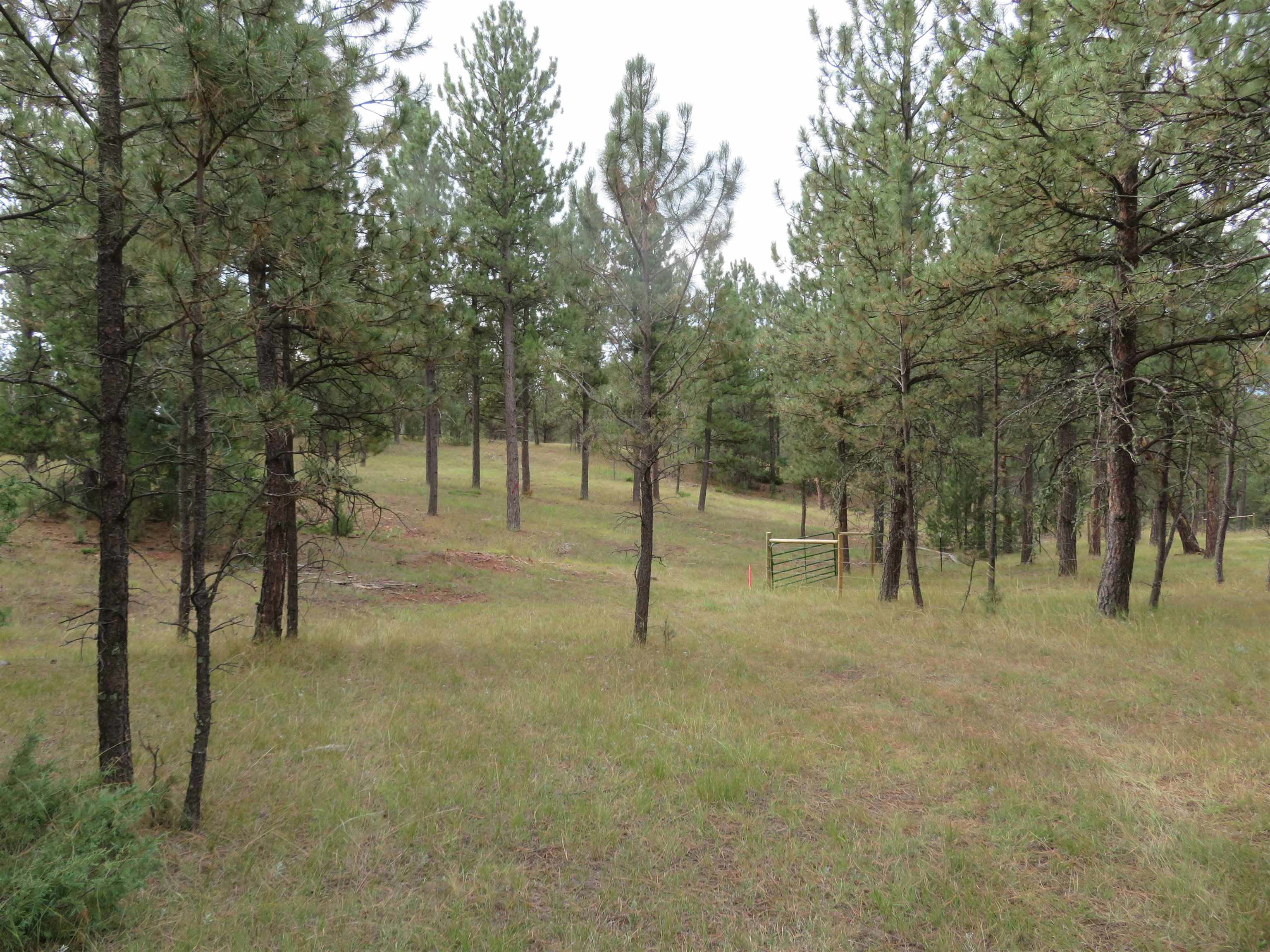Tbd Lot 34b Hombre Trail Property Photo 2