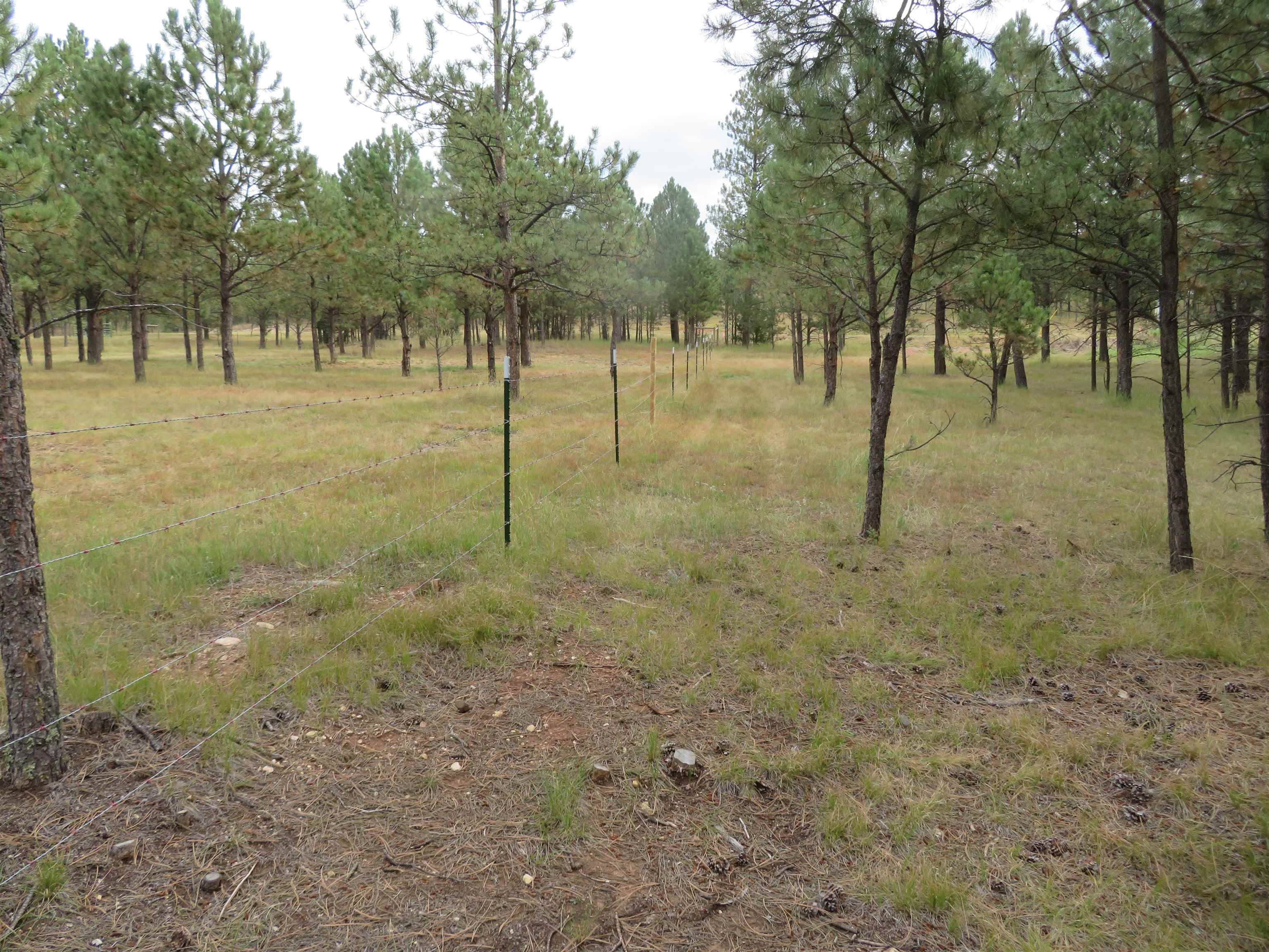 Tbd Lot 34b Hombre Trail Property Photo 3