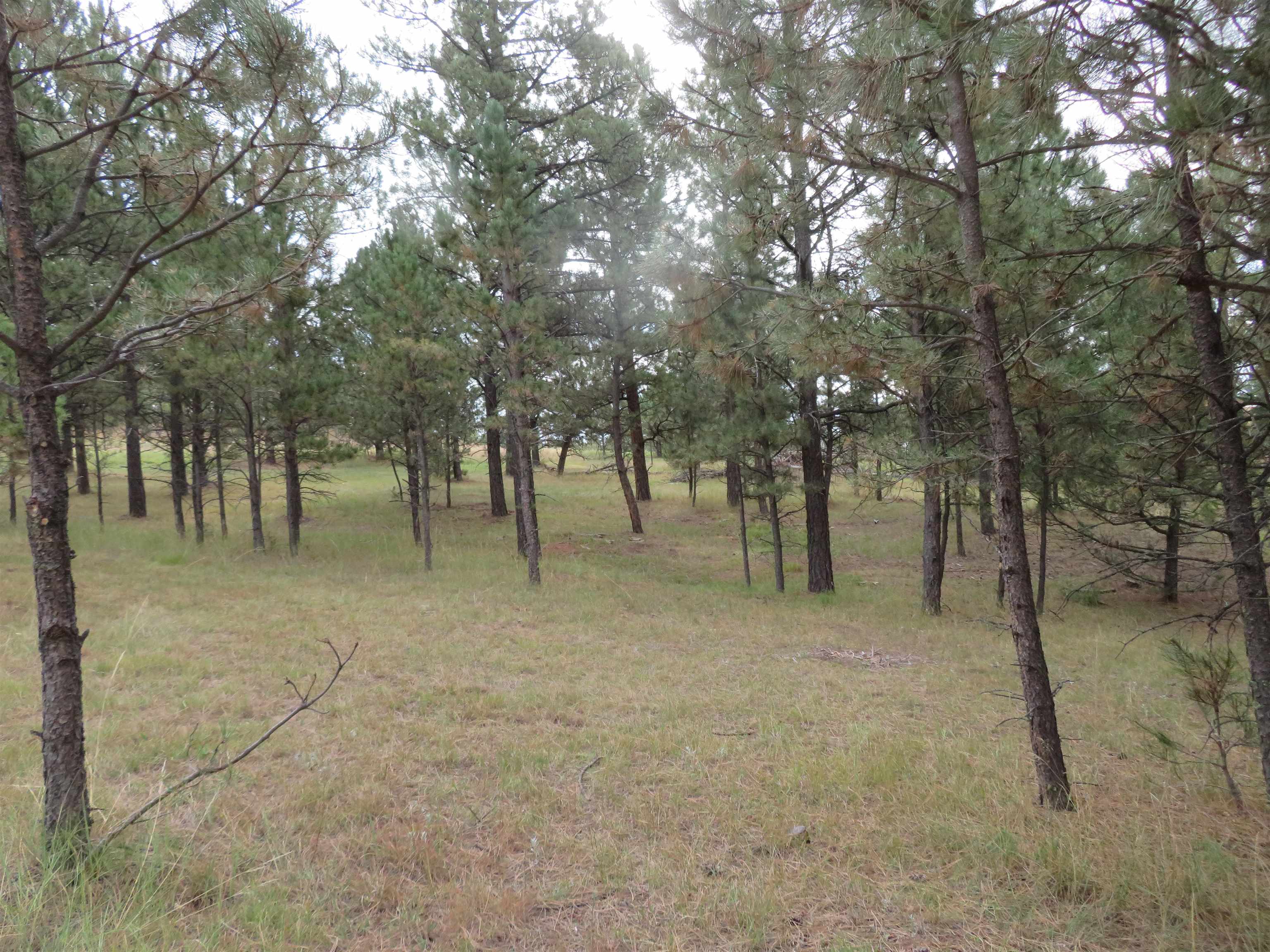 Tbd Lot 34b Hombre Trail Property Photo 4